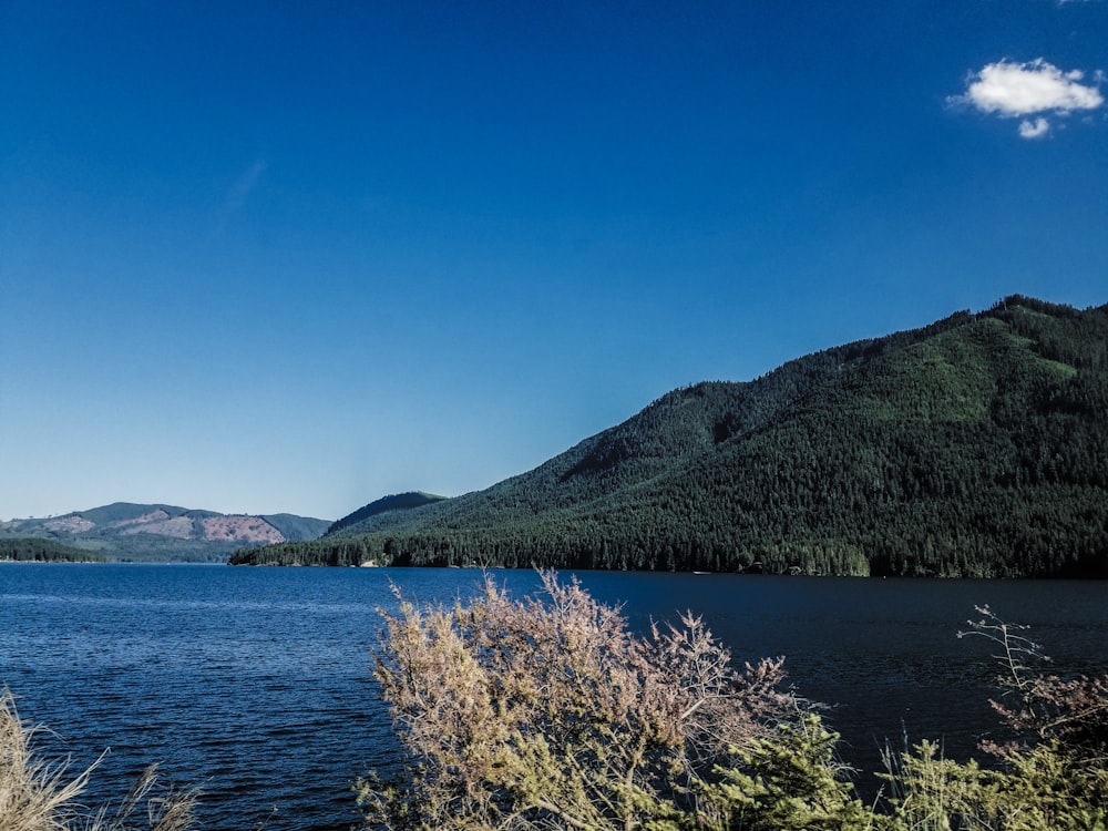 a large body of water surrounded by mountains