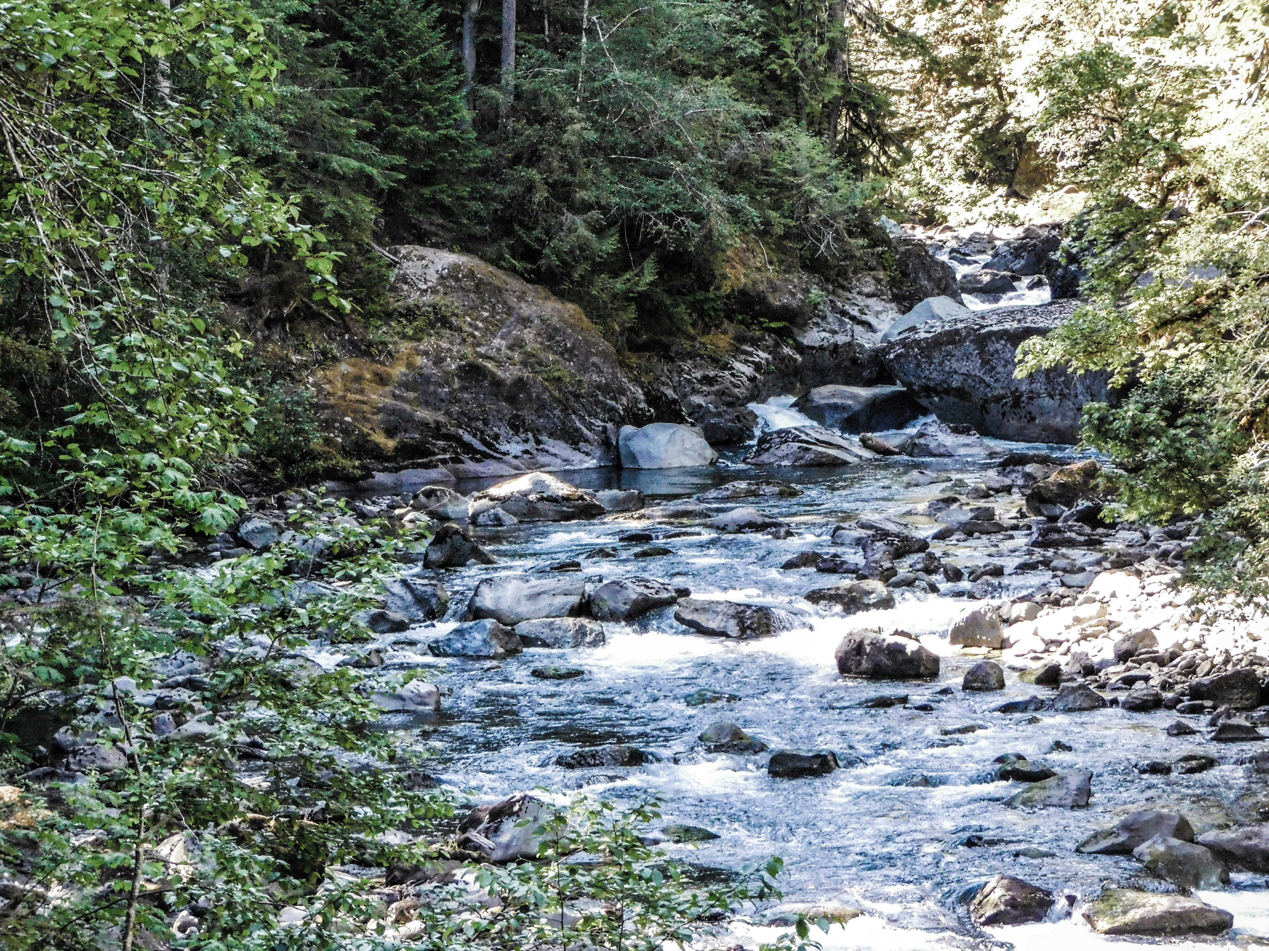 Photo by prphotography262