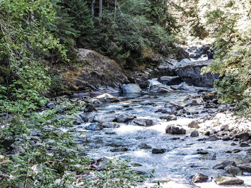 Rivière naturelle en forêt — NaturiaGo