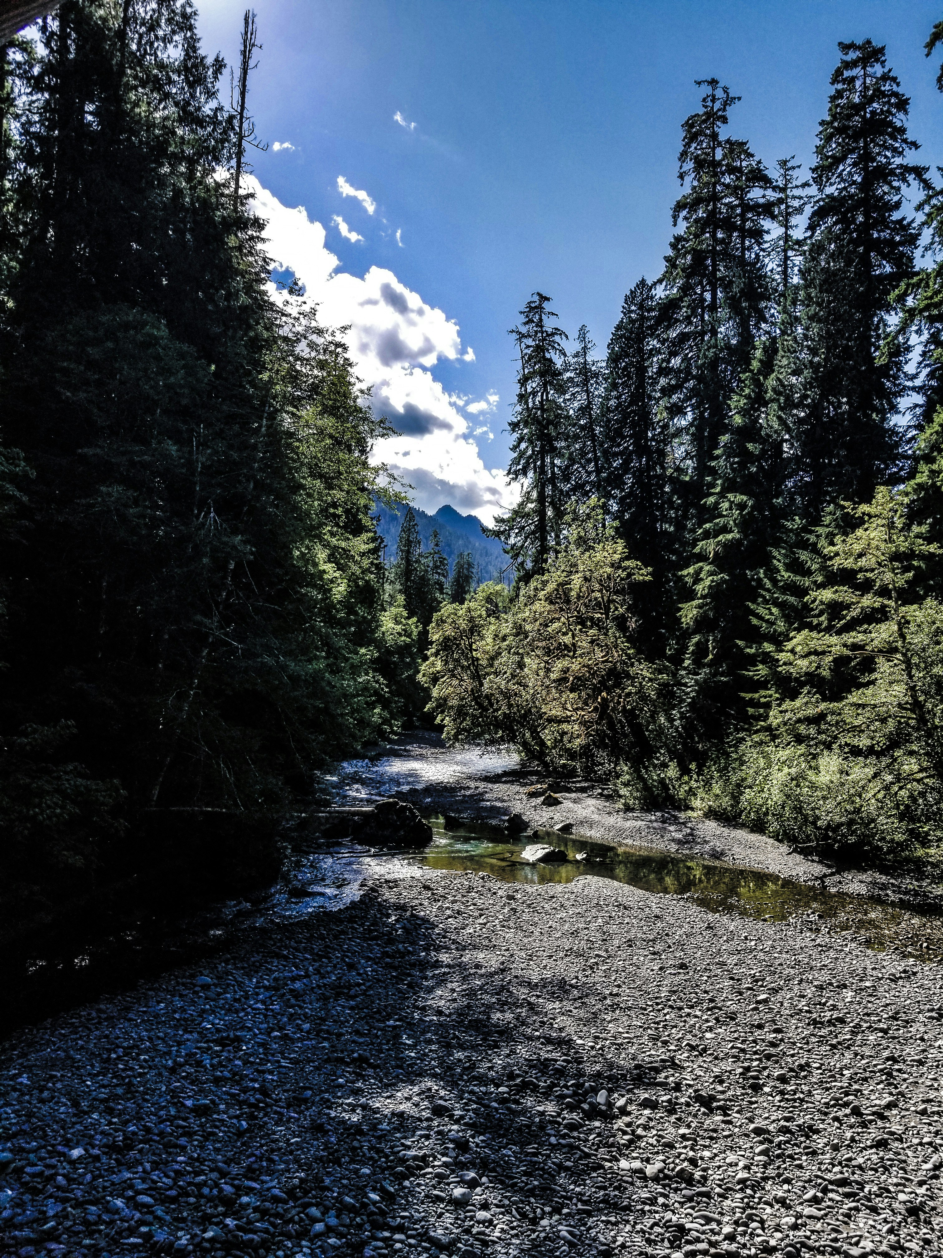 Photo by prphotography262