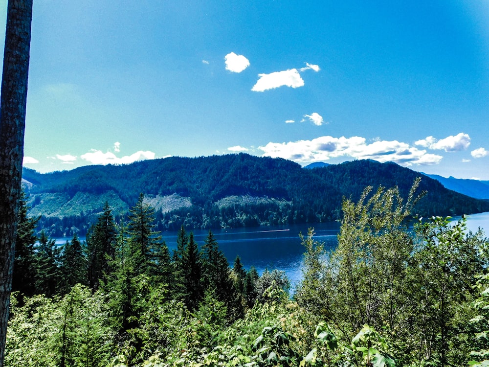 a scenic view of a lake surrounded by trees