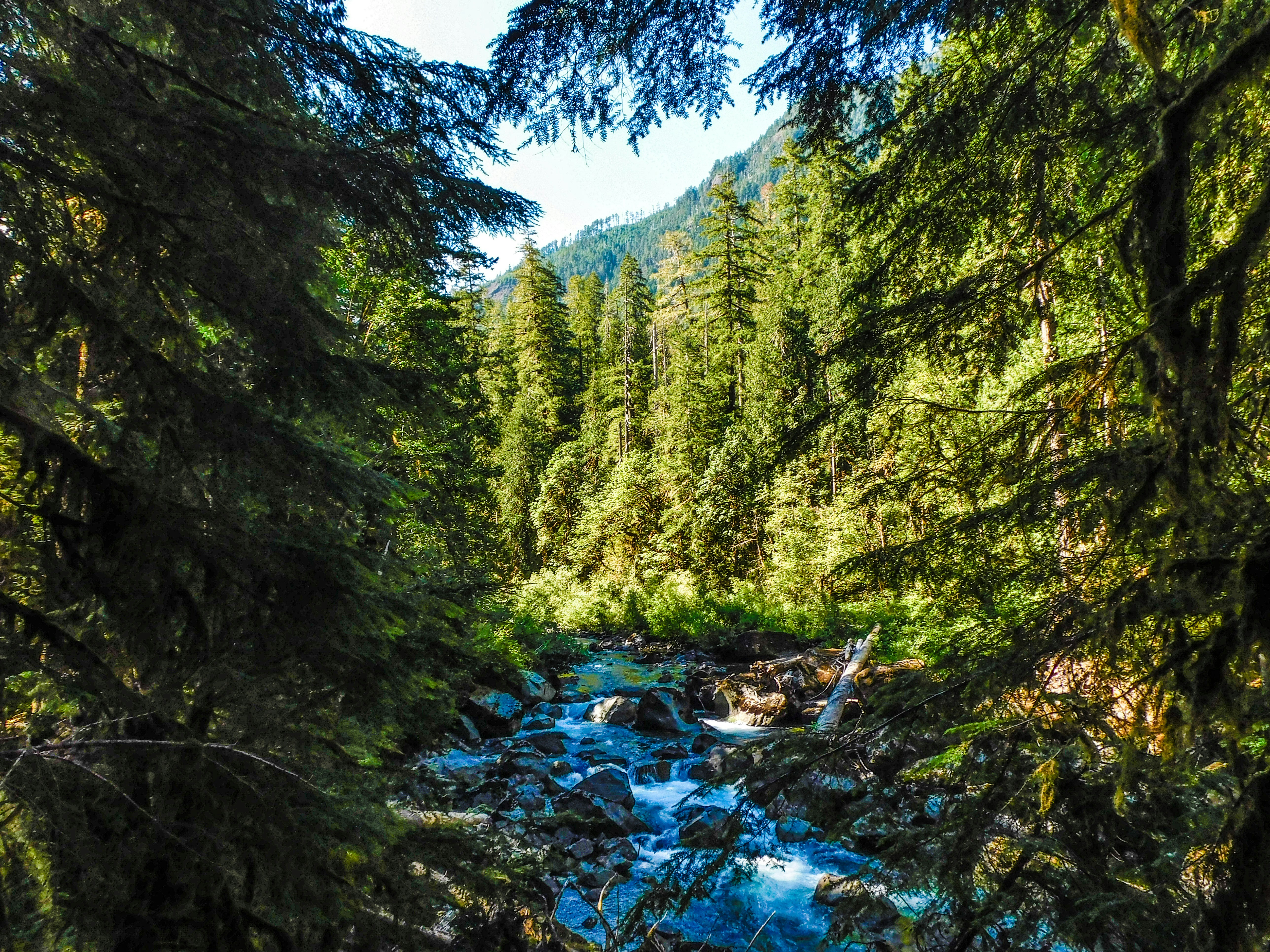 Photo by prphotography262