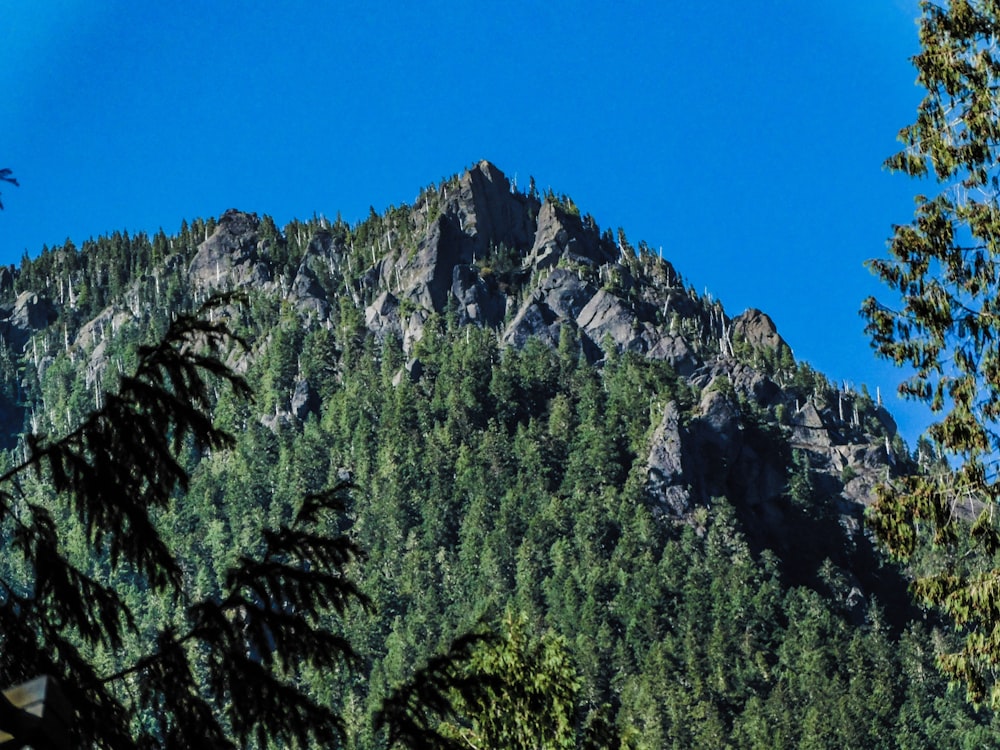 a view of a mountain with trees in the foreground