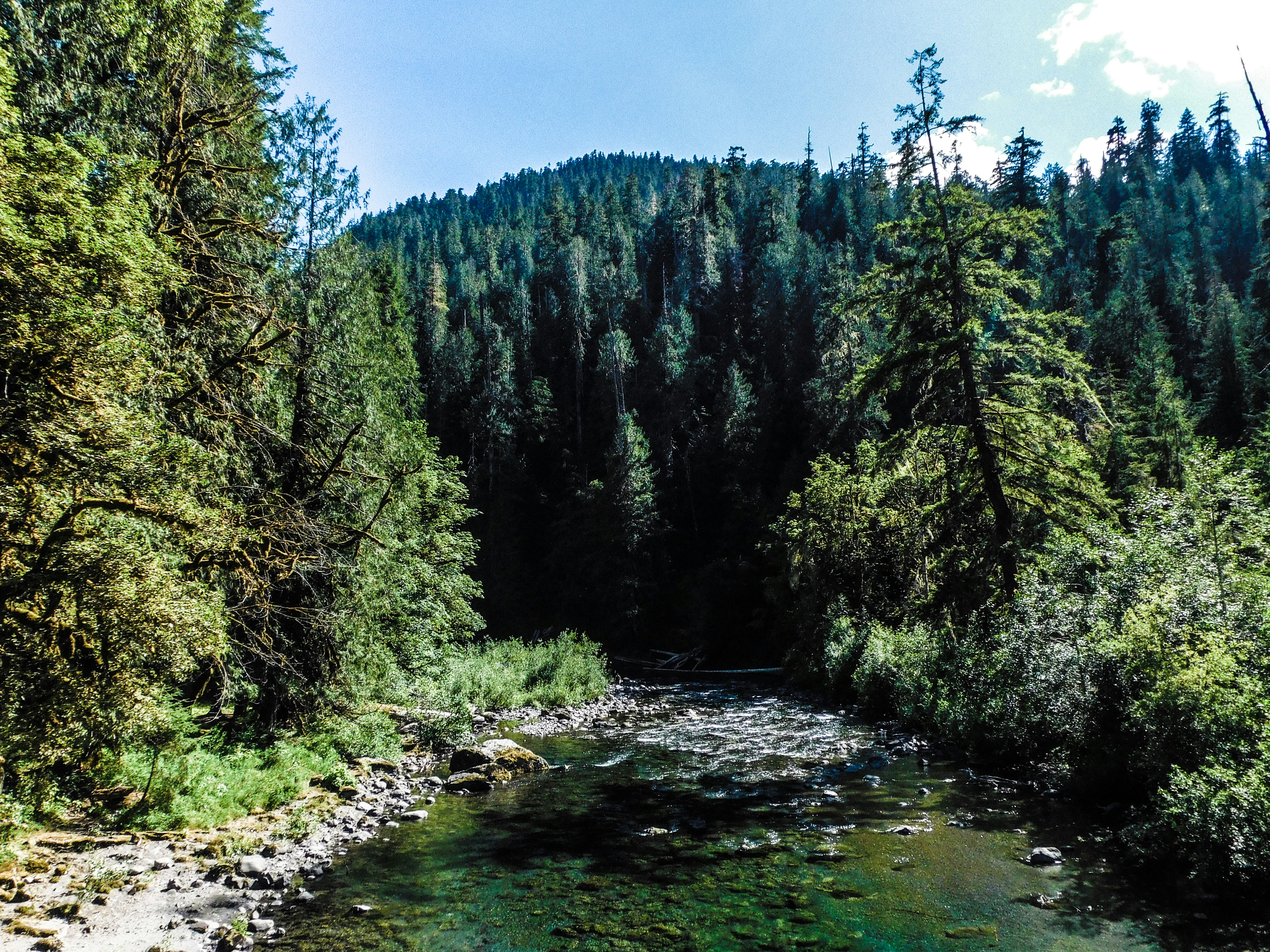 Photo by prphotography262