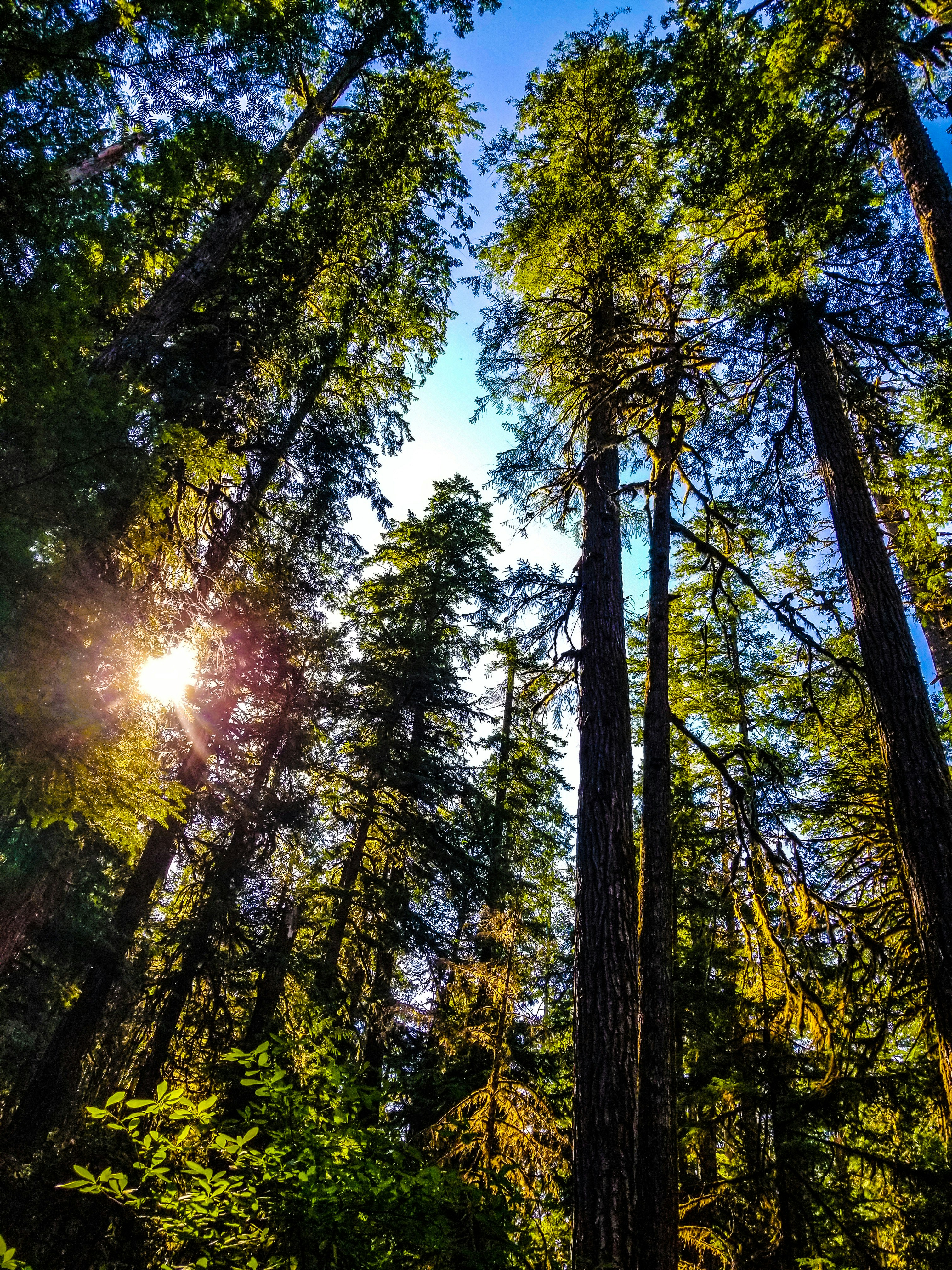 Photo by prphotography262