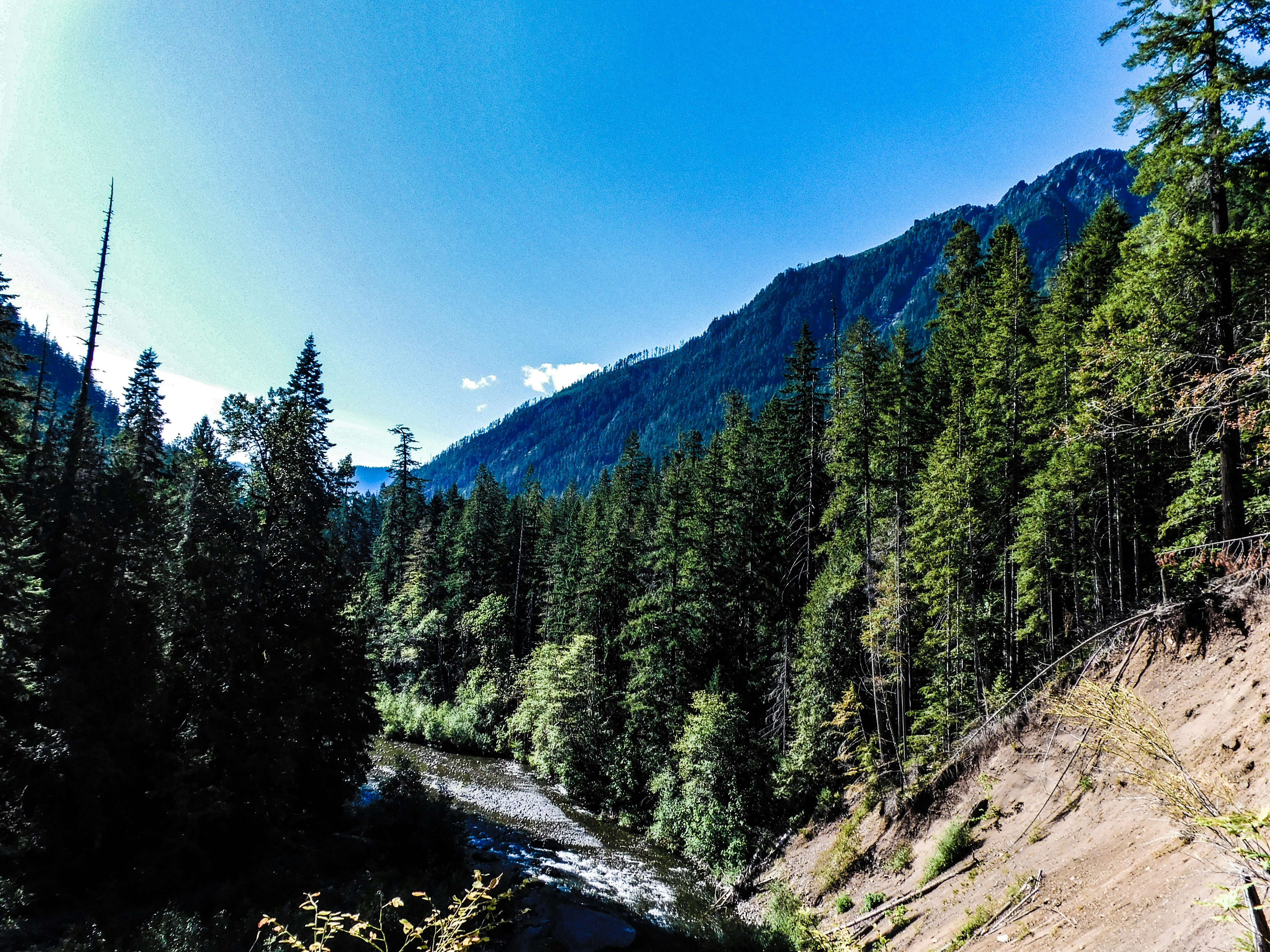 Photo by prphotography262