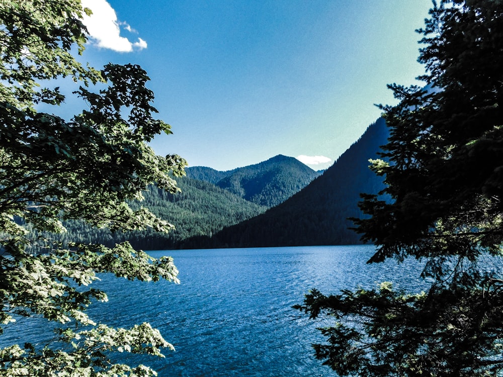 a body of water surrounded by trees and mountains