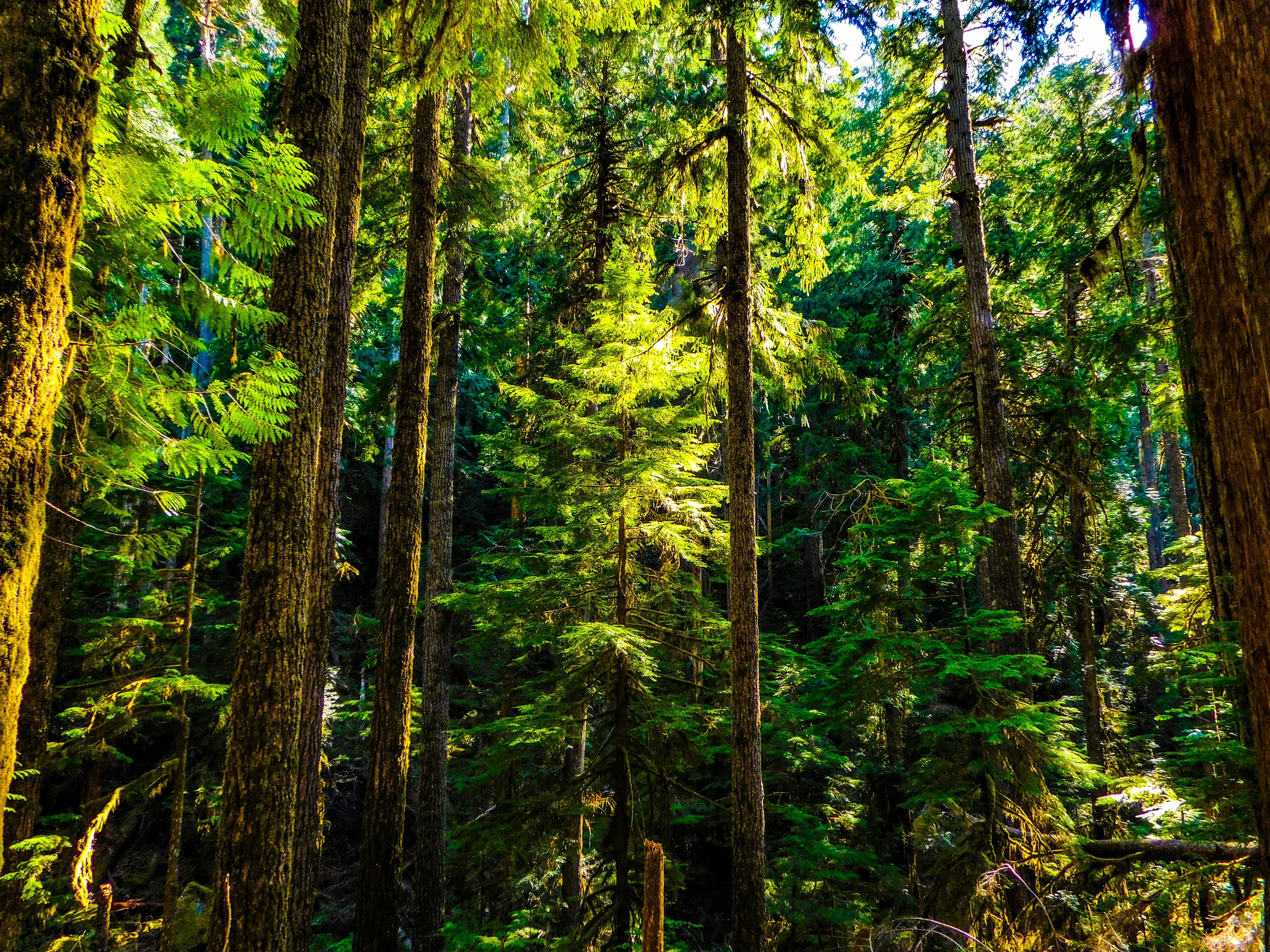 Photo by prphotography262