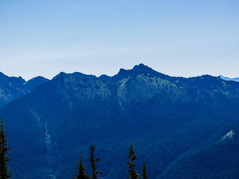 a view of a mountain range with trees in the foreground