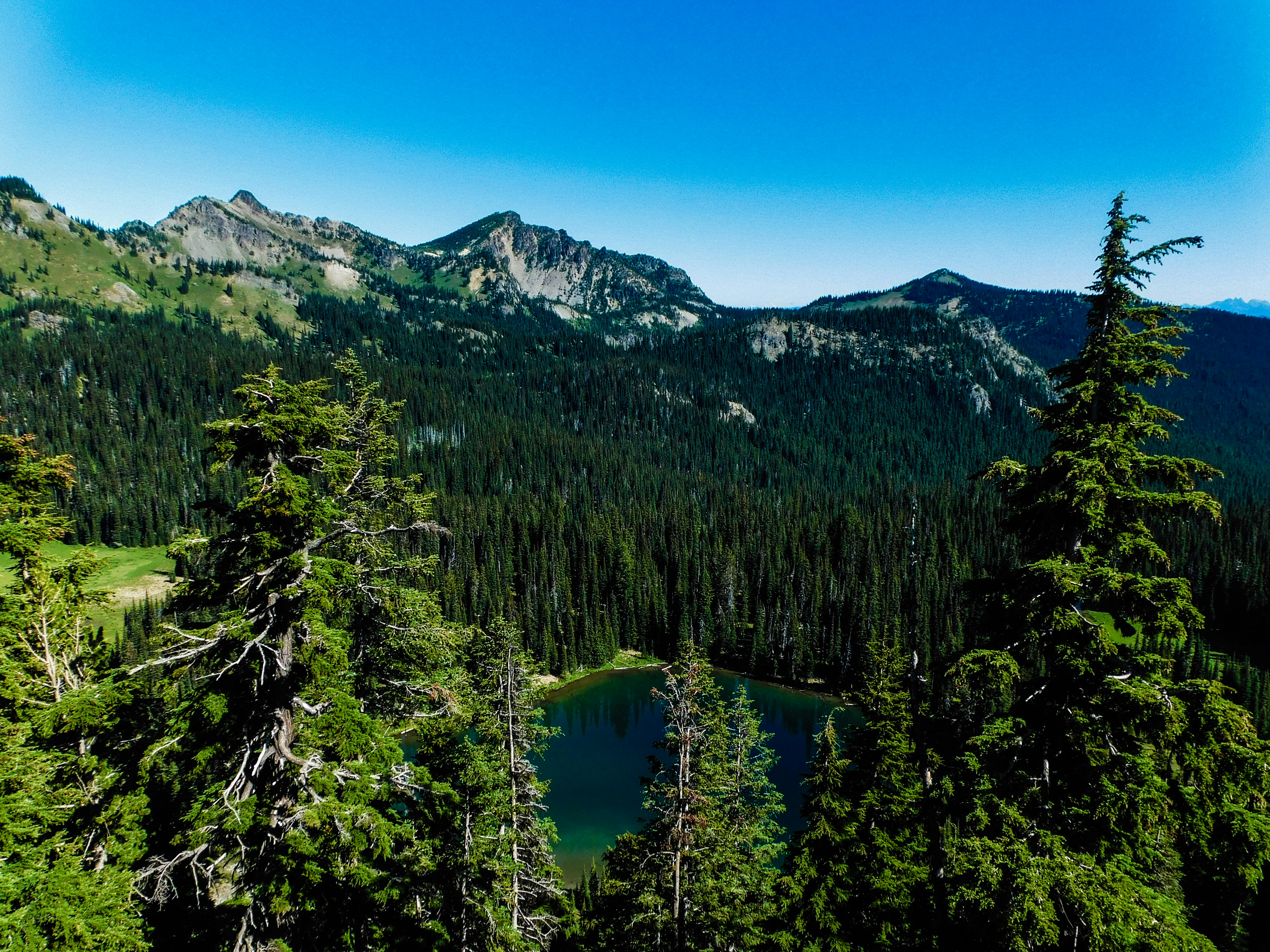 Photo by prphotography262