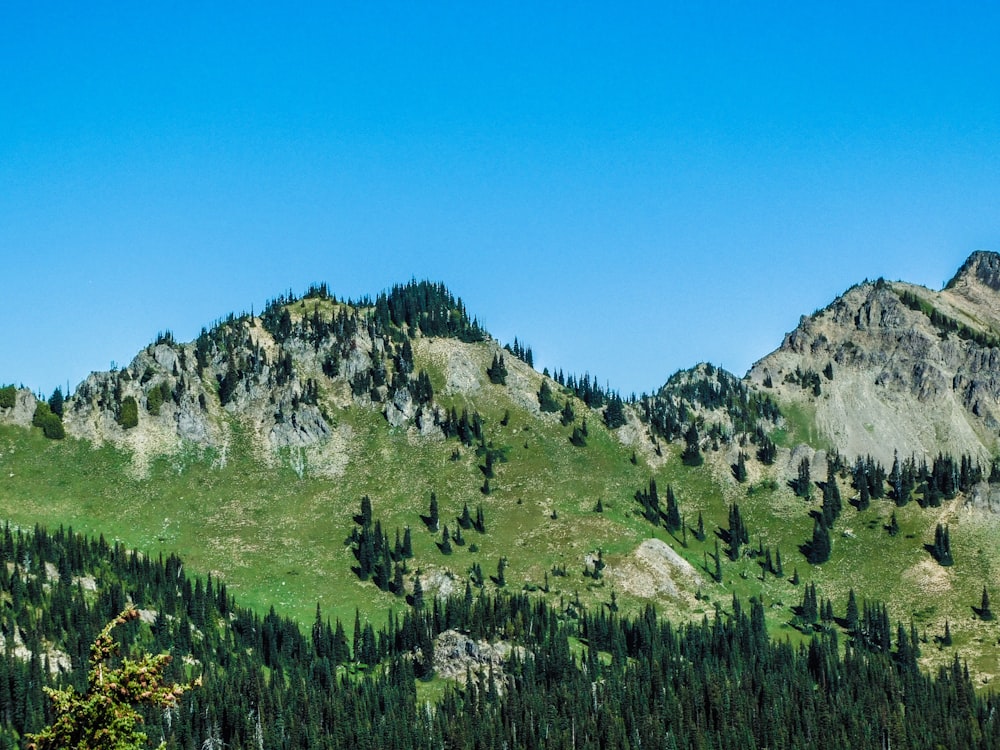 a view of a mountain with trees on the side of it