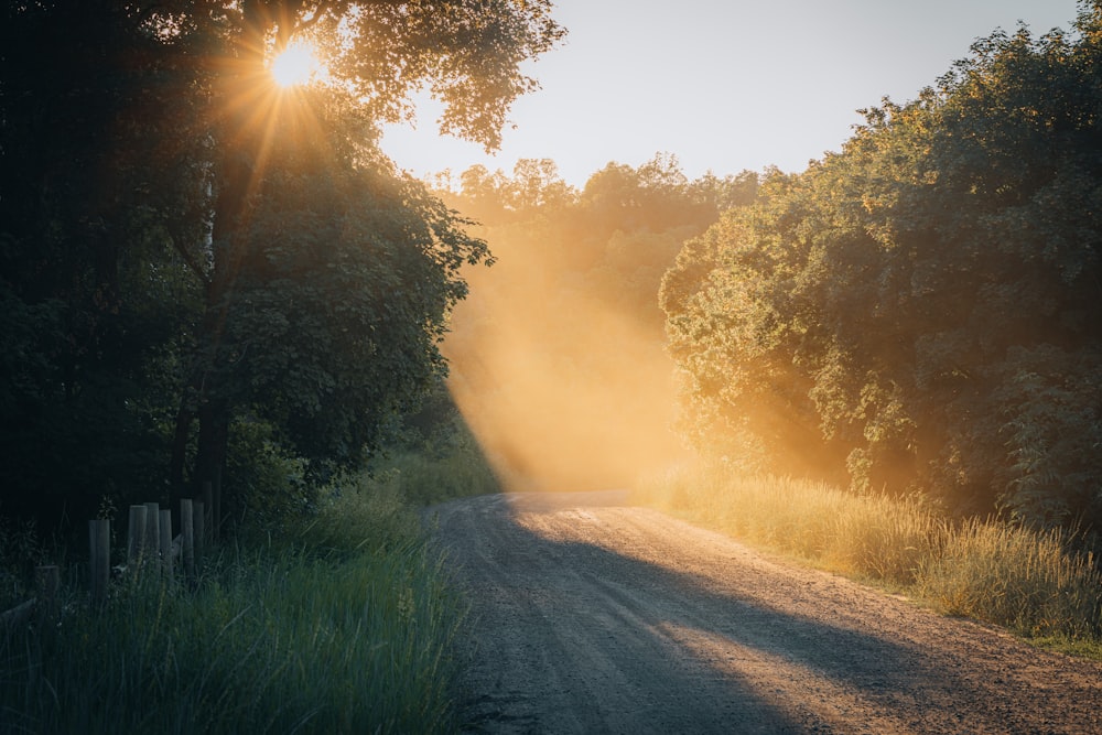 a dirt road surrounded by trees and grass