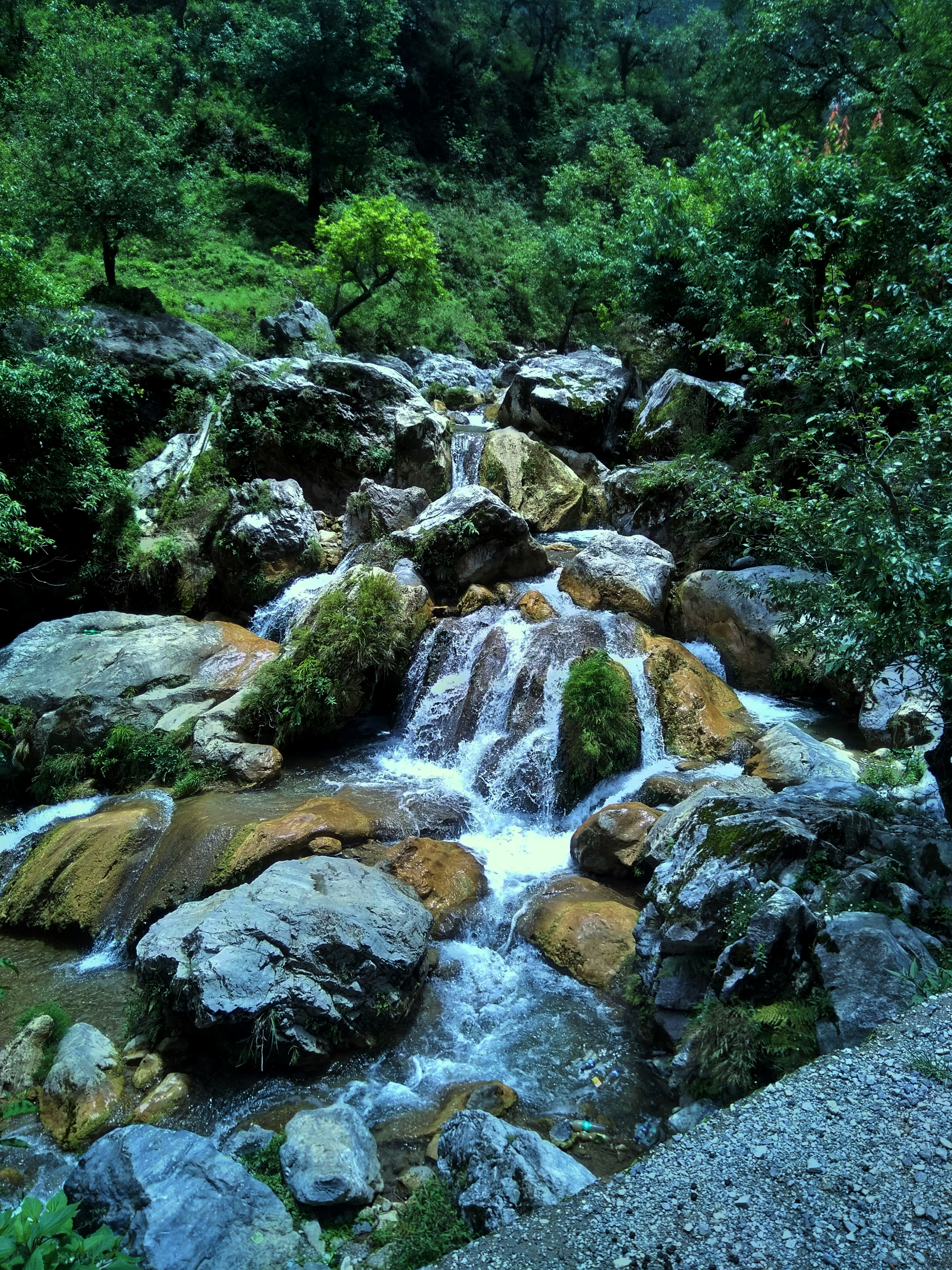 Photo by mayank_singh_