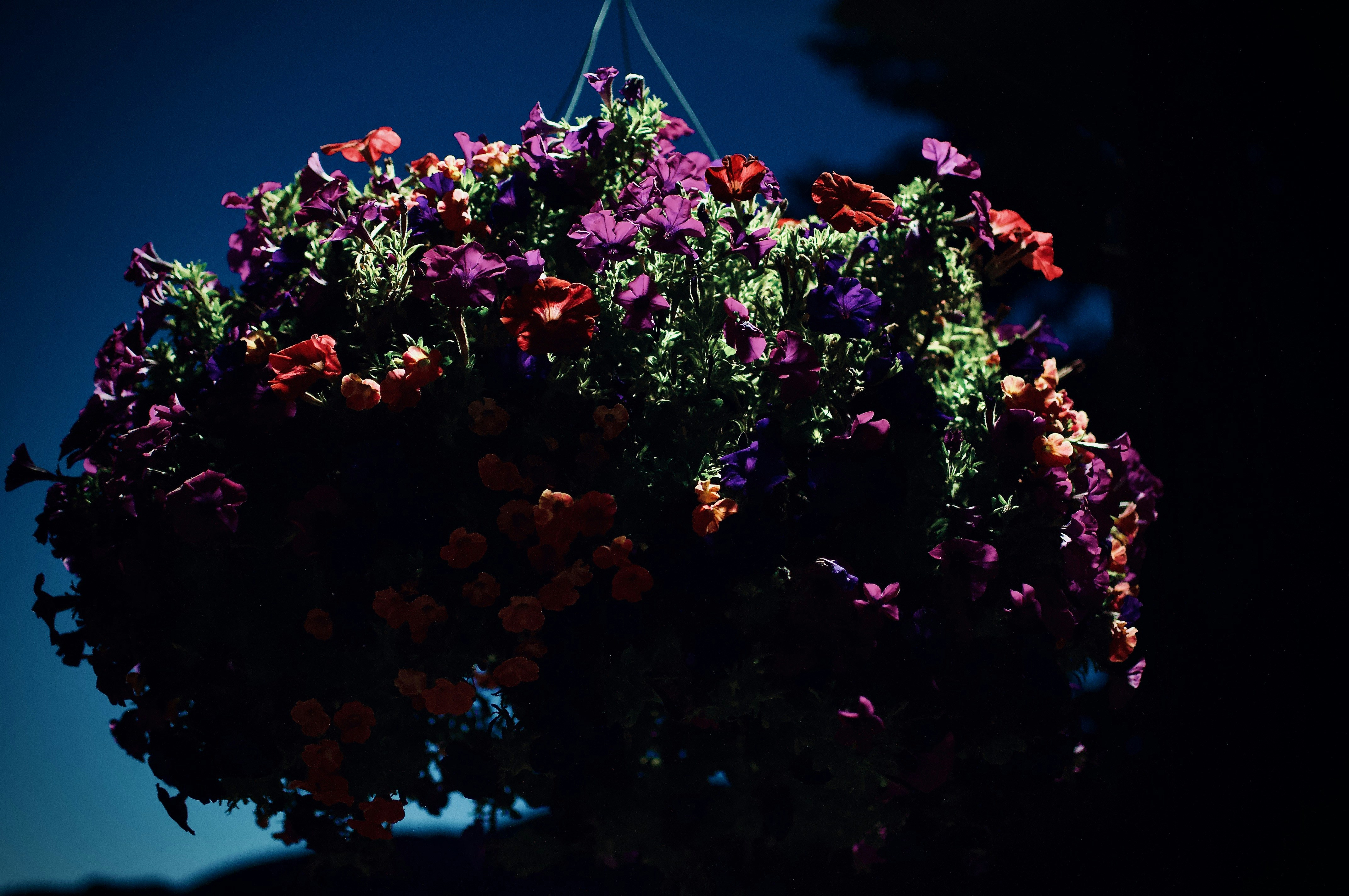 Photo by alexanderphotography