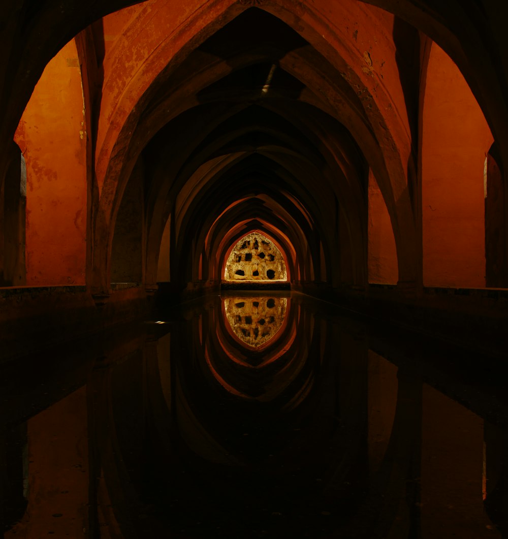 a reflection of a building in a pool of water