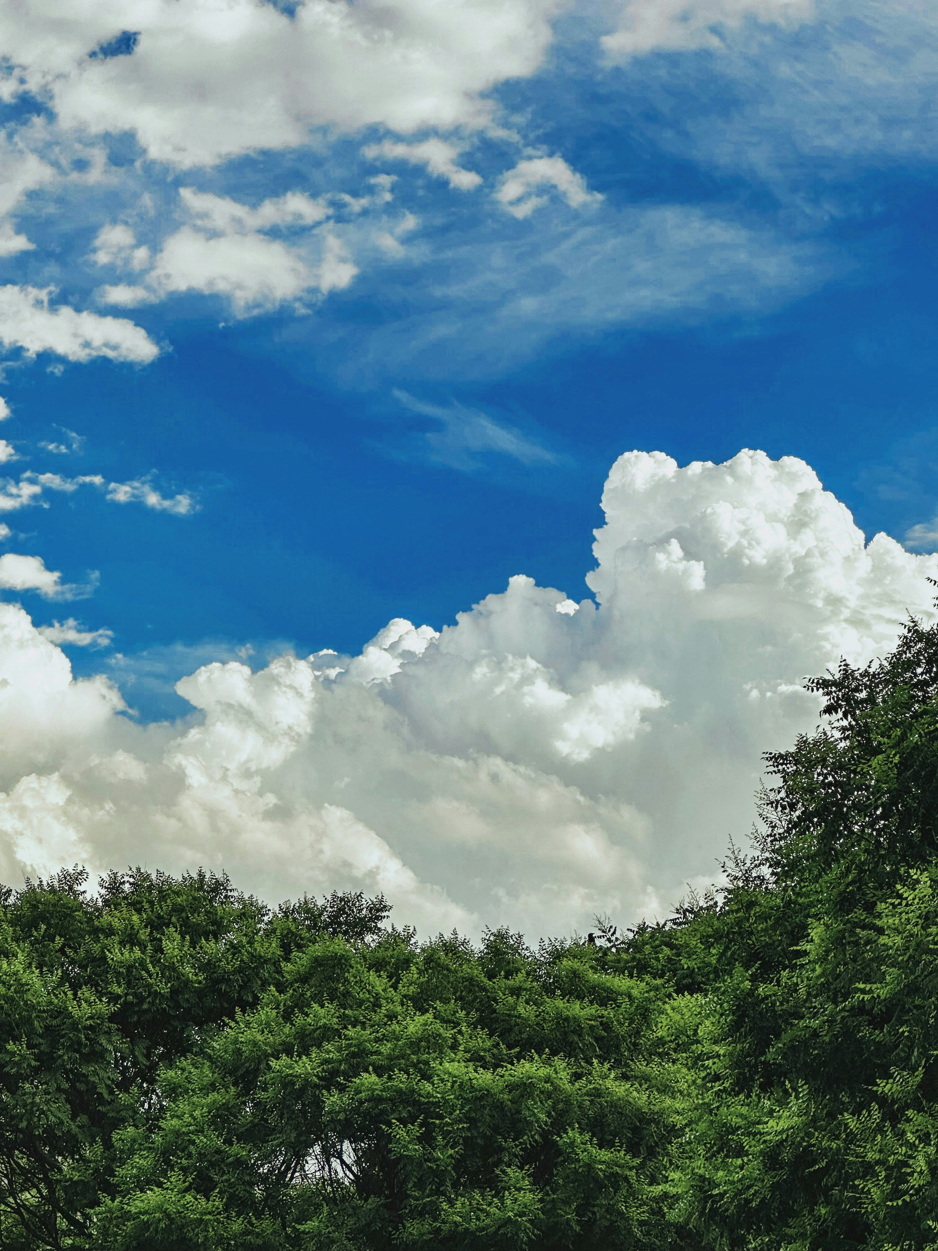 Photo by hattrick1996