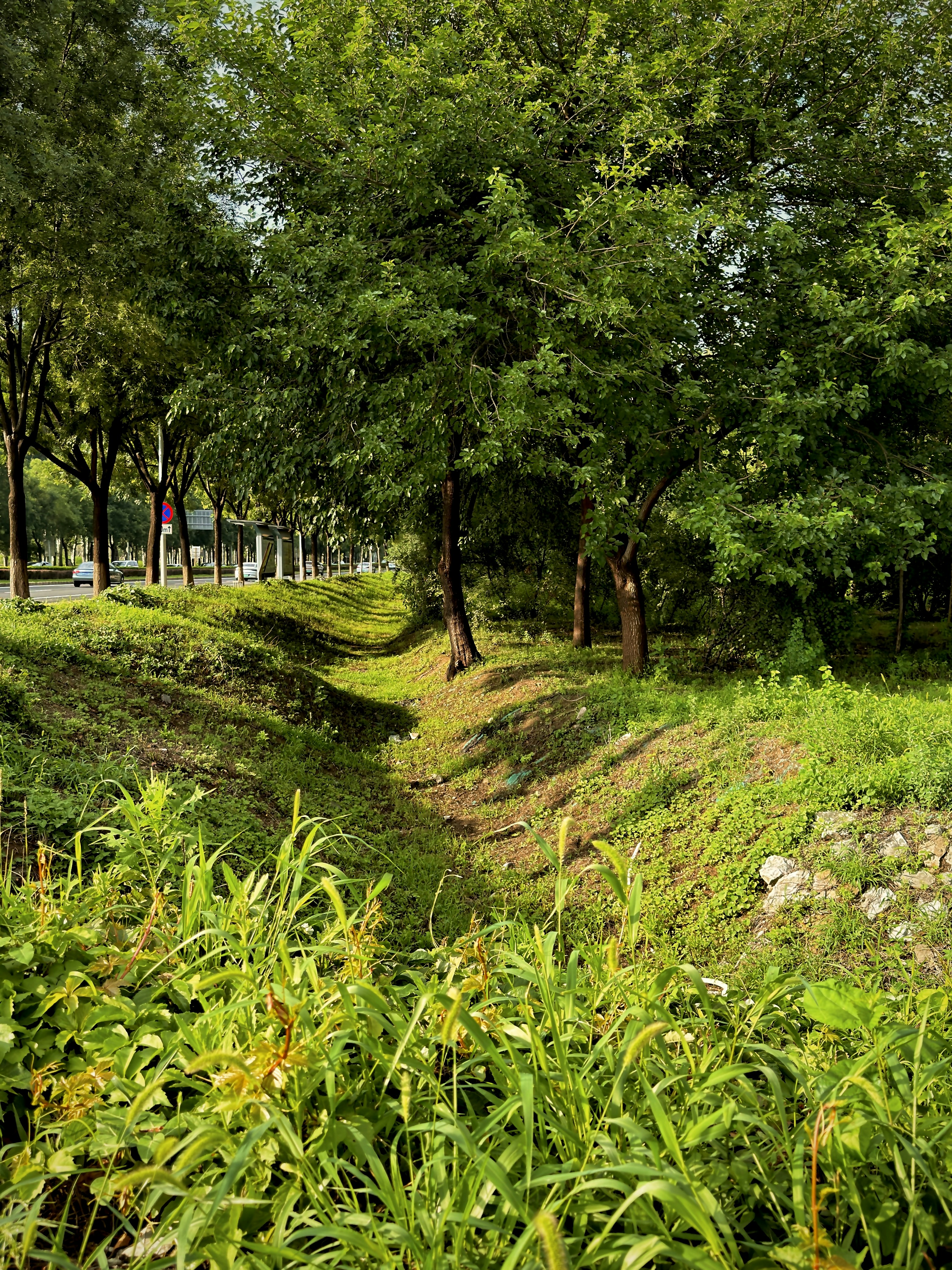 Photo by hattrick1996