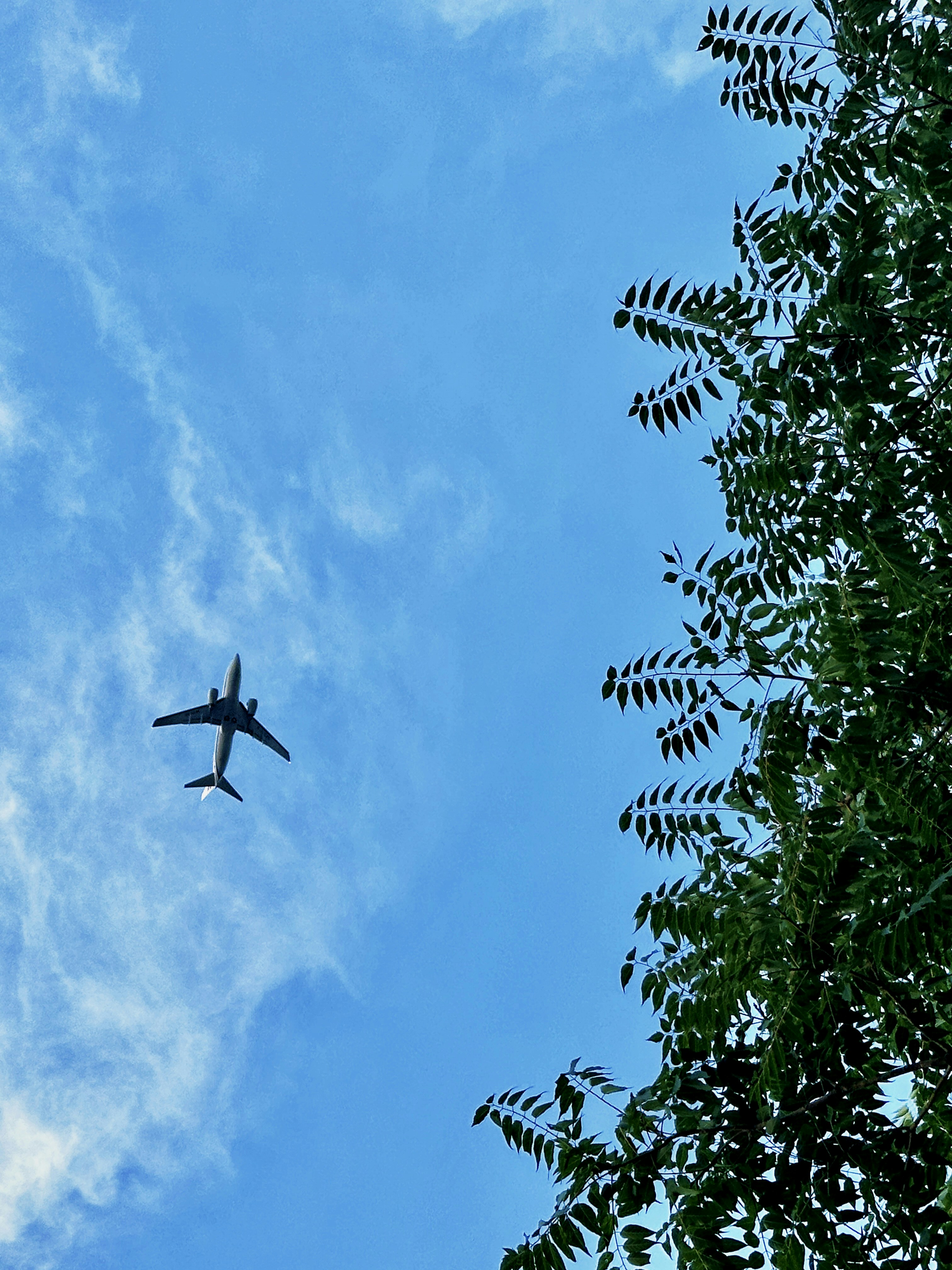 Seasonal Rhythms and When to Visit