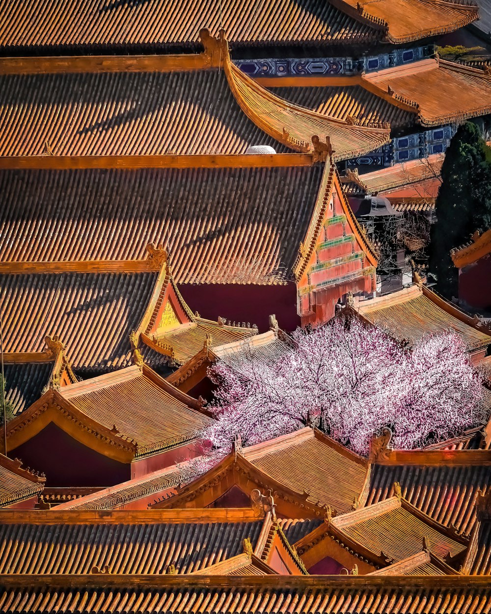 an aerial view of a building with a tree in the foreground