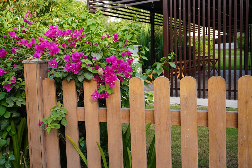 a wooden fence with flowers growing on it