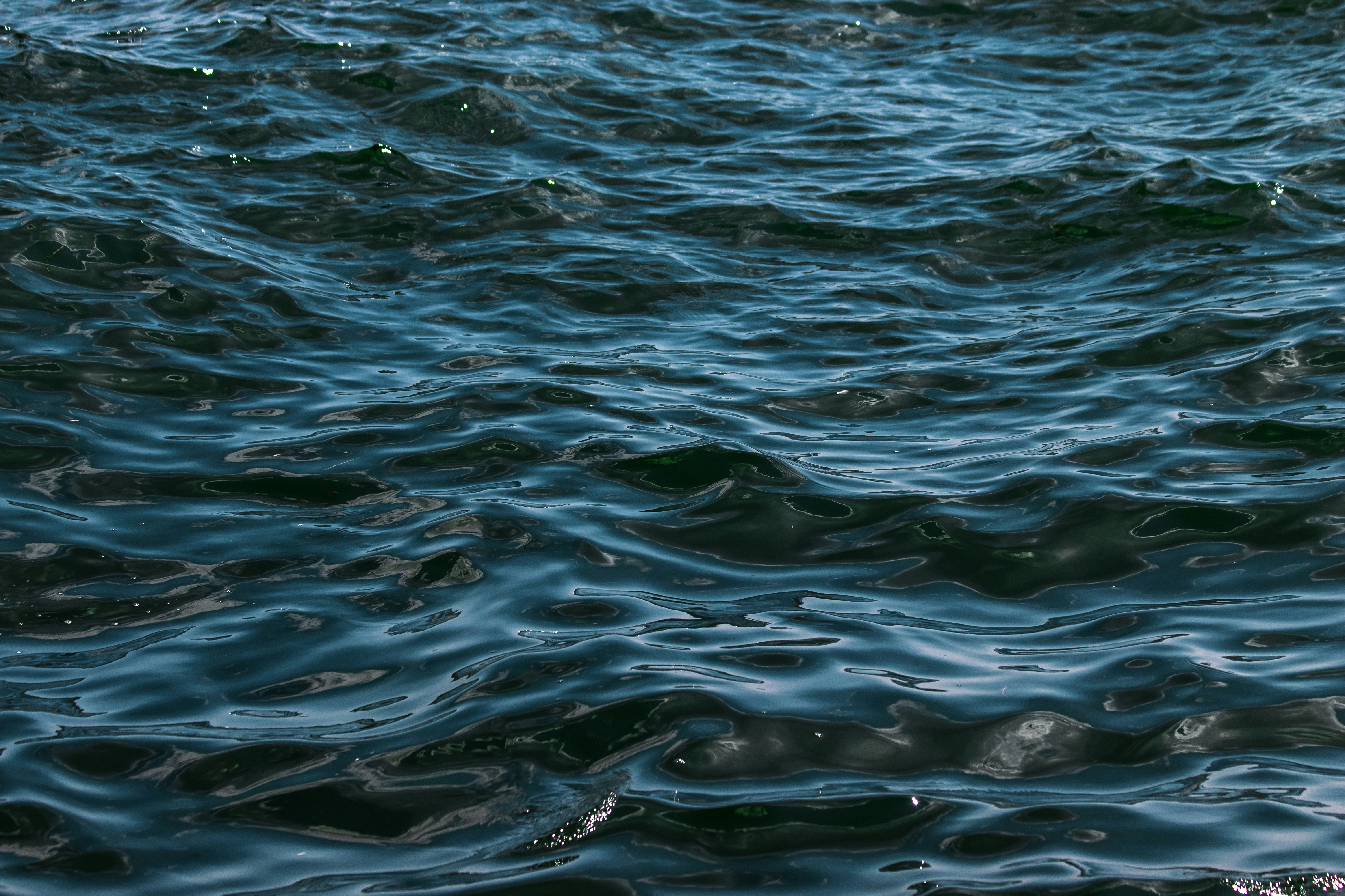 Photo by sinabahar76