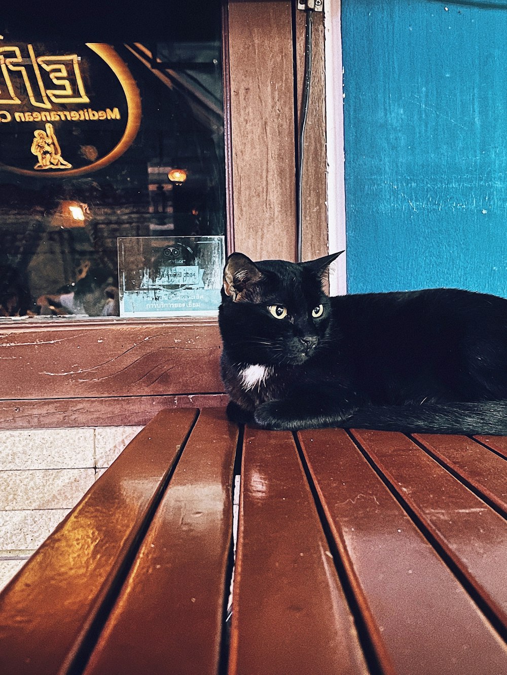 eine schwarze Katze, die auf einer Holzbank sitzt