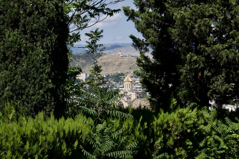 a view of a city through some trees