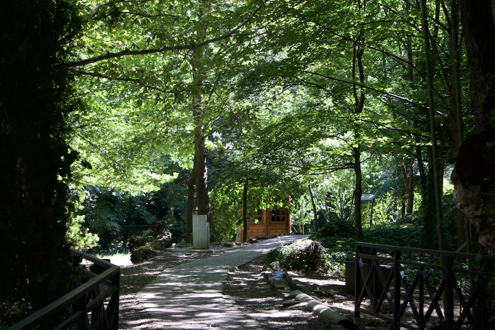 a path in the middle of a wooded area