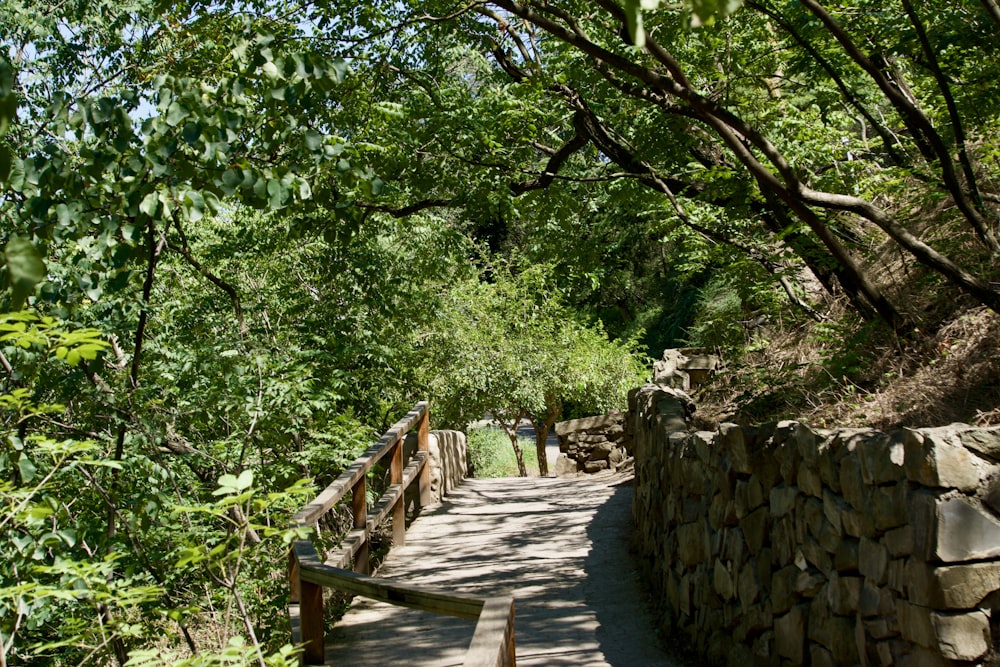 a wooden walkway surrounded by trees on a sunny day
