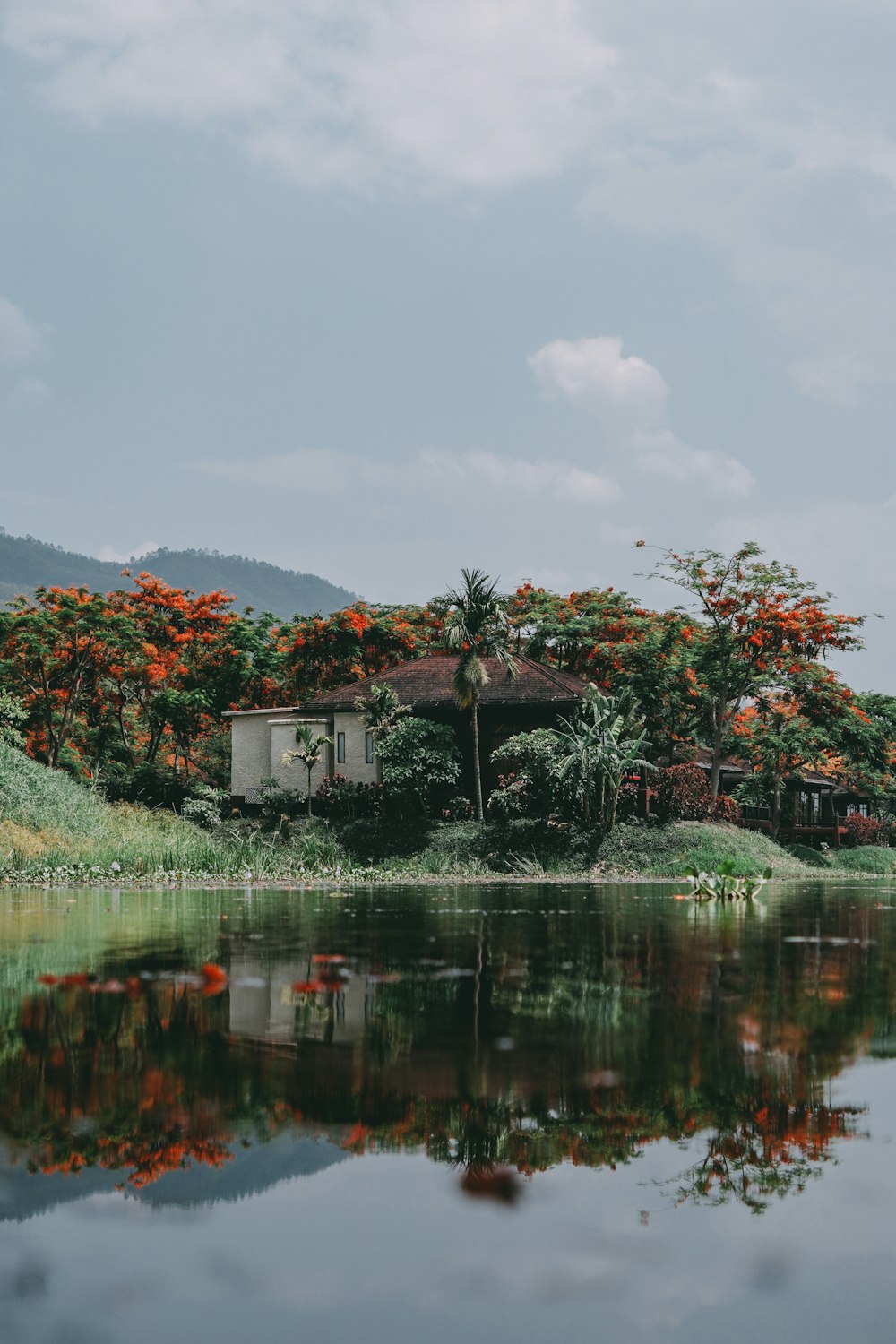 a body of water surrounded by trees and mountains