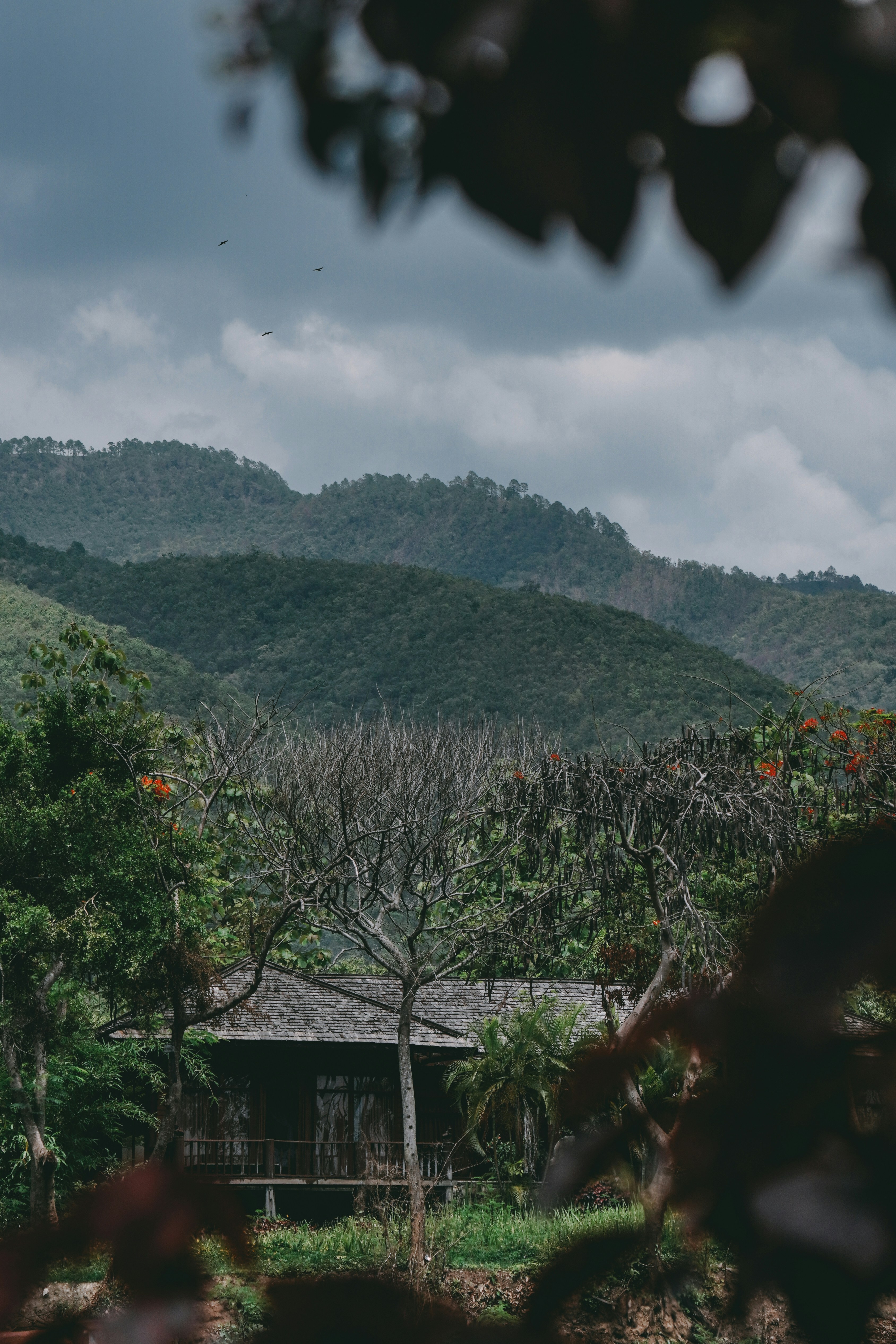 Photo by apertureblade