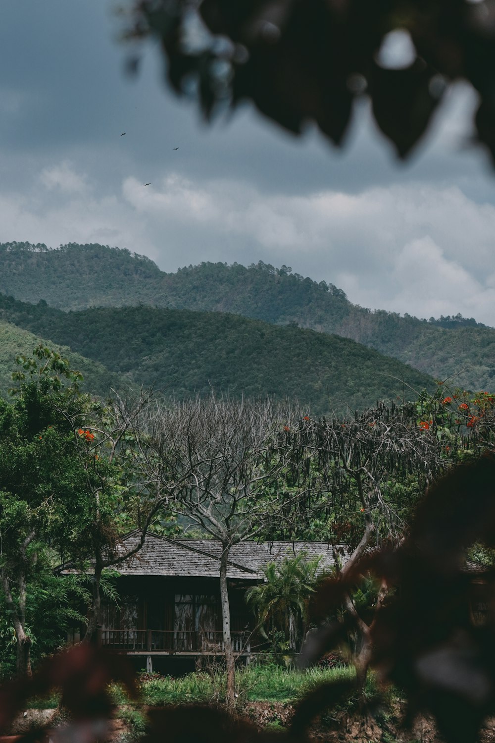 a house in the middle of a forest with mountains in the background