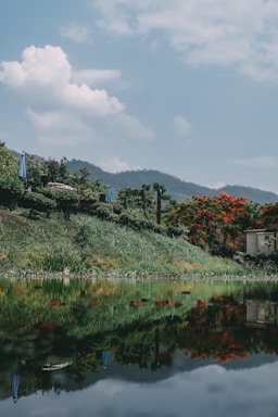 A serene landscape of Ubatuba's nature.