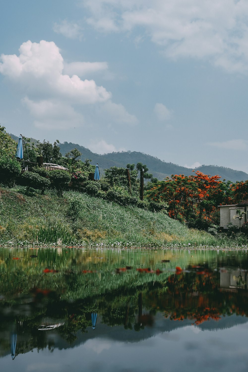 a house sitting on a hill next to a body of water