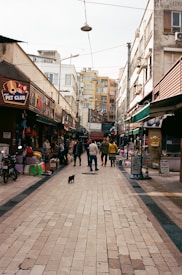 A bustling street market with various shops on either side, featuring people walking and engaging with street vendors. Colorful merchandise is displayed, including household items and textiles. The architecture includes older, multi-story buildings decorated with hanging lights. A small black cat strolls down the middle of the stone-paved walkway.