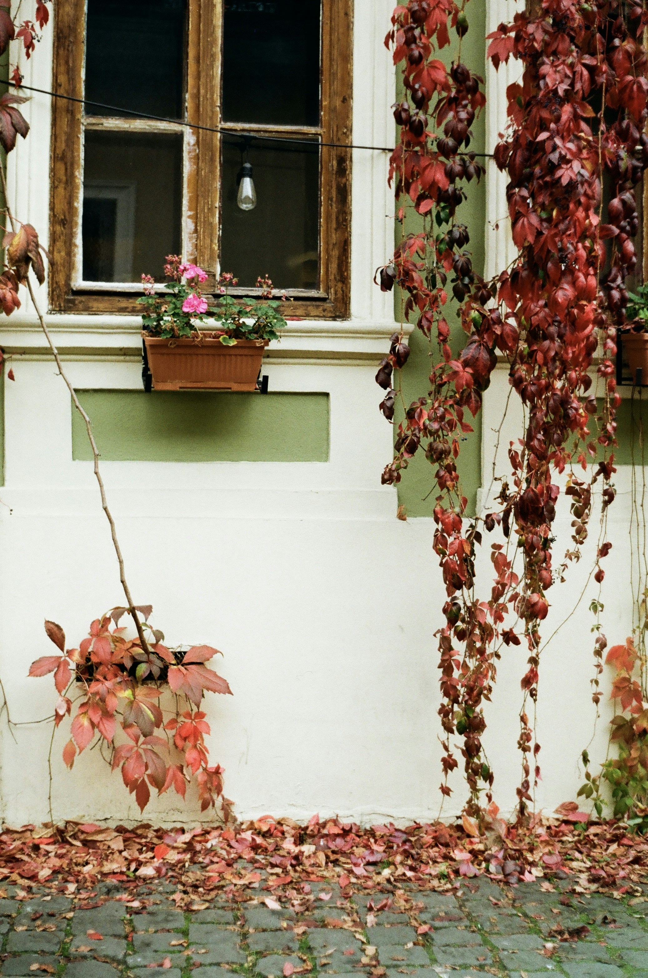 10 Cozy Autumn Floral Arrangement Ideas for Homes