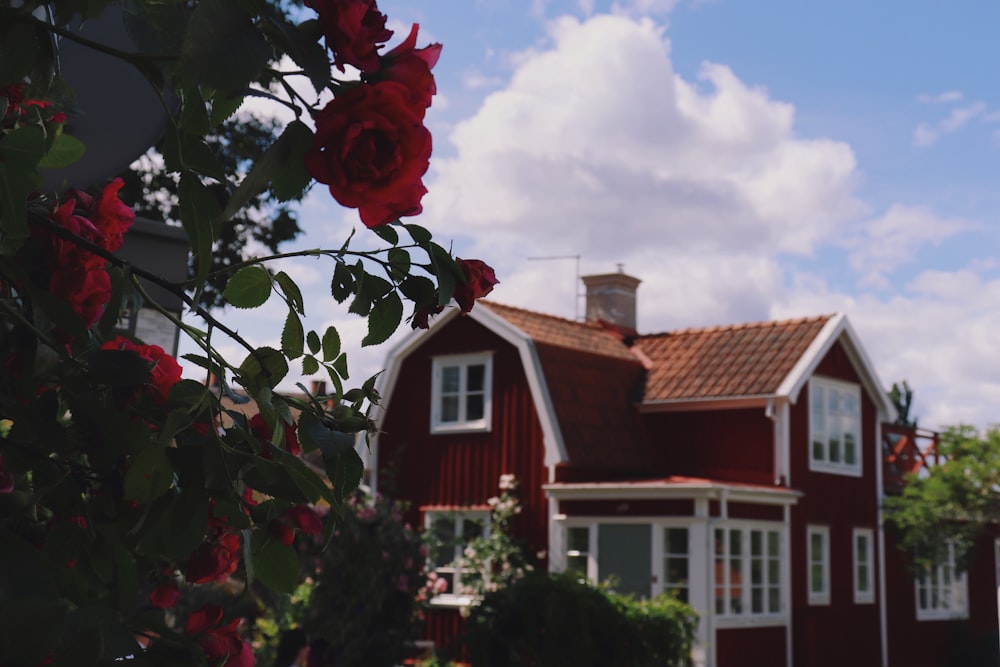 a red house with a rose bush in front of it