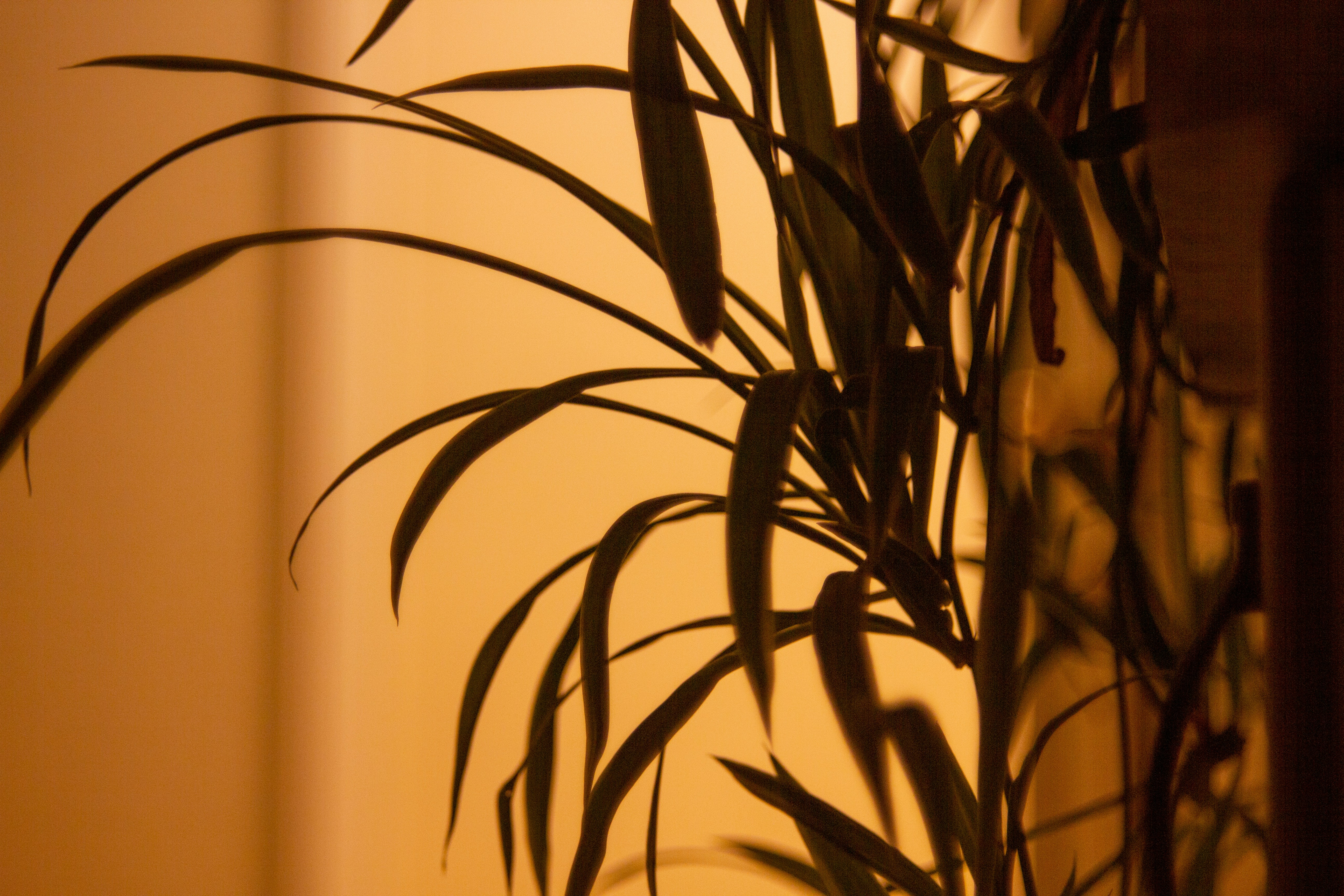 Photo by whiteman_4086