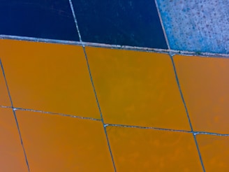 Several agricultural fields are visible in an aerial view with geometric patterns. The fields are separated by thin dirt roads or embankments and display different colors due to variations in crop types, soil, or water conditions.