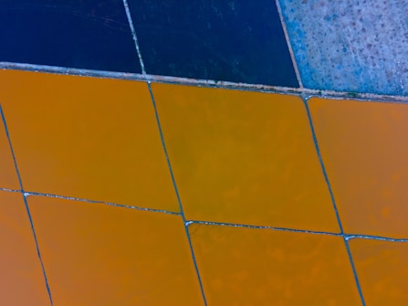 Several agricultural fields are visible in an aerial view with geometric patterns. The fields are separated by thin dirt roads or embankments and display different colors due to variations in crop types, soil, or water conditions.