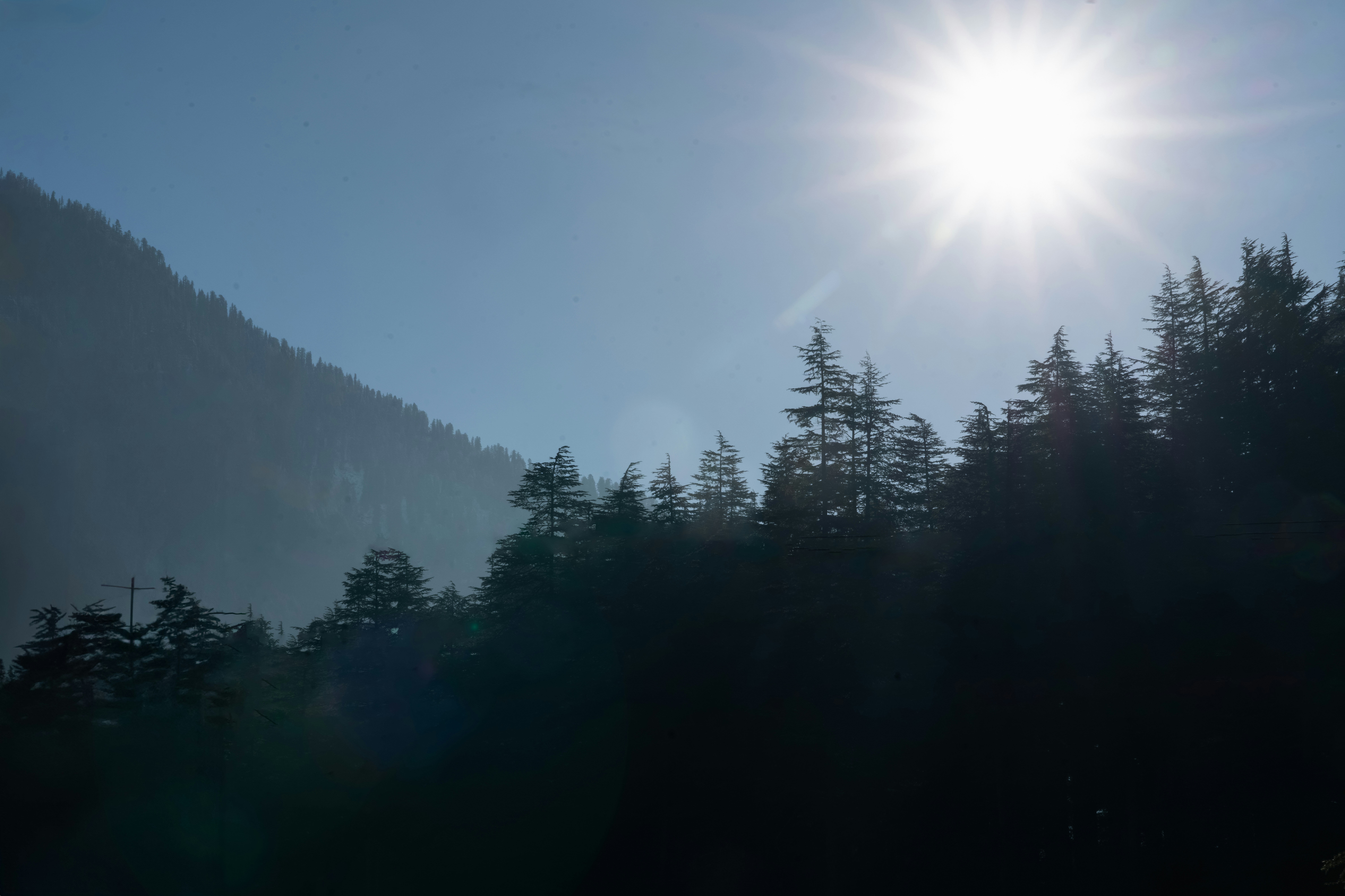 Photo by meemoome_productions