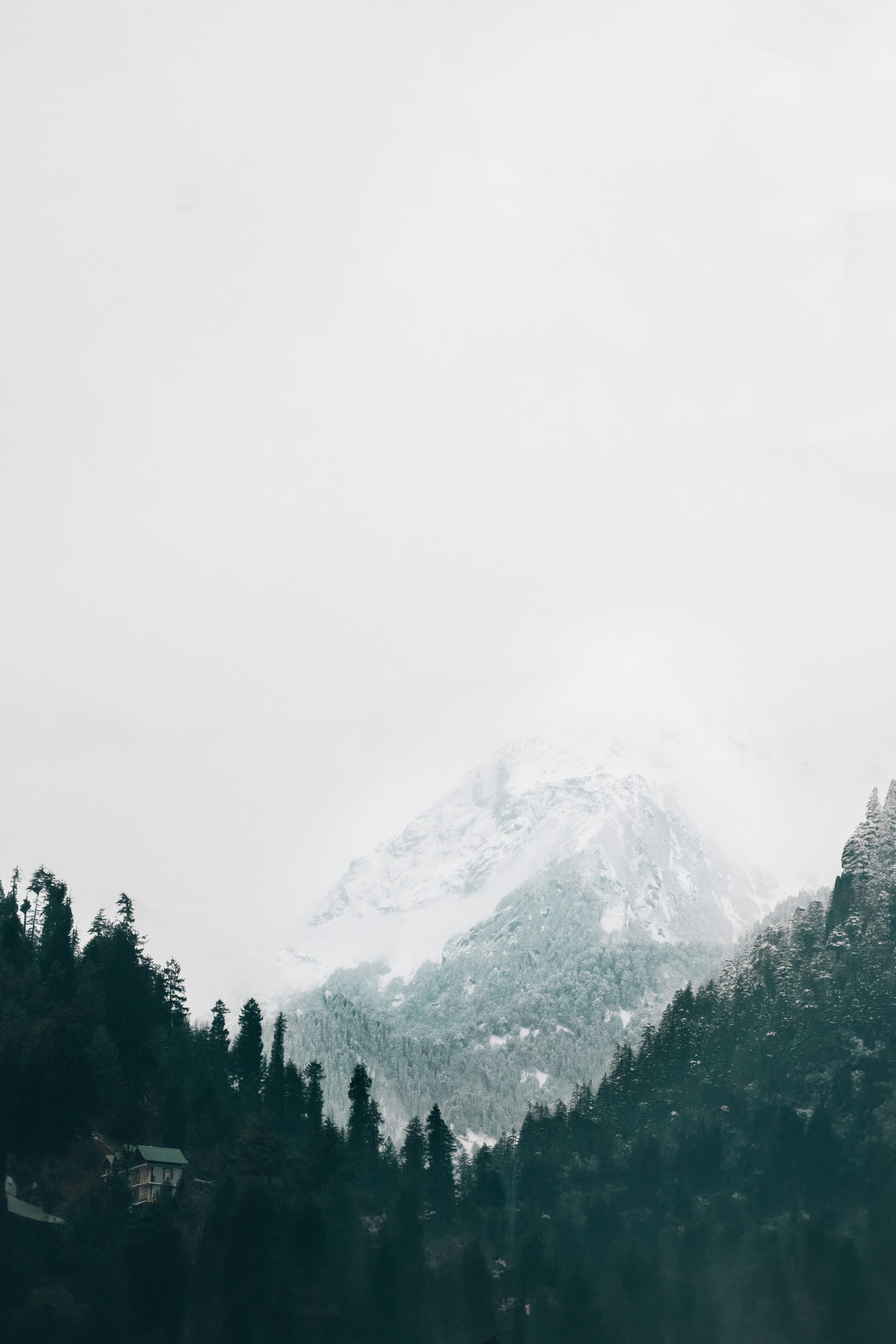 Photo by meemoome_productions