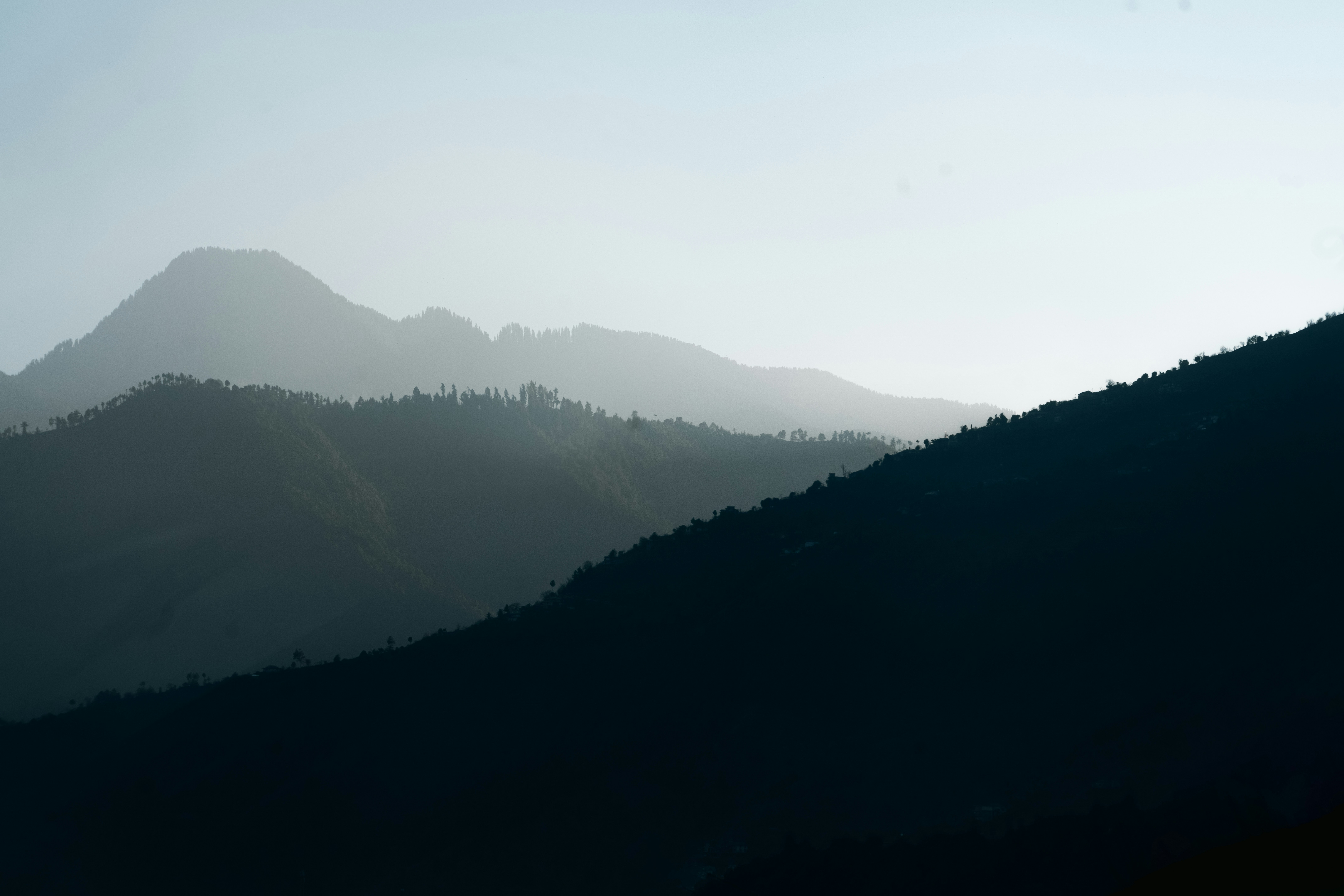 Photo by meemoome_productions