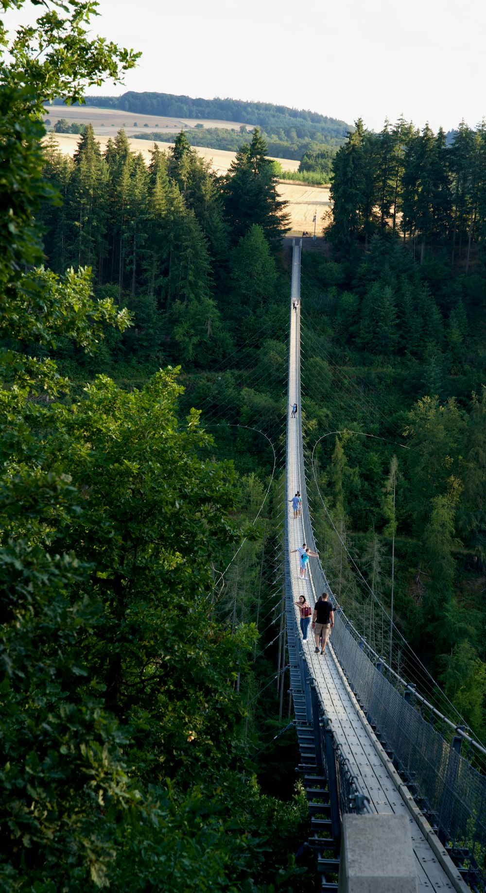 a couple of people walking across a suspension bridge