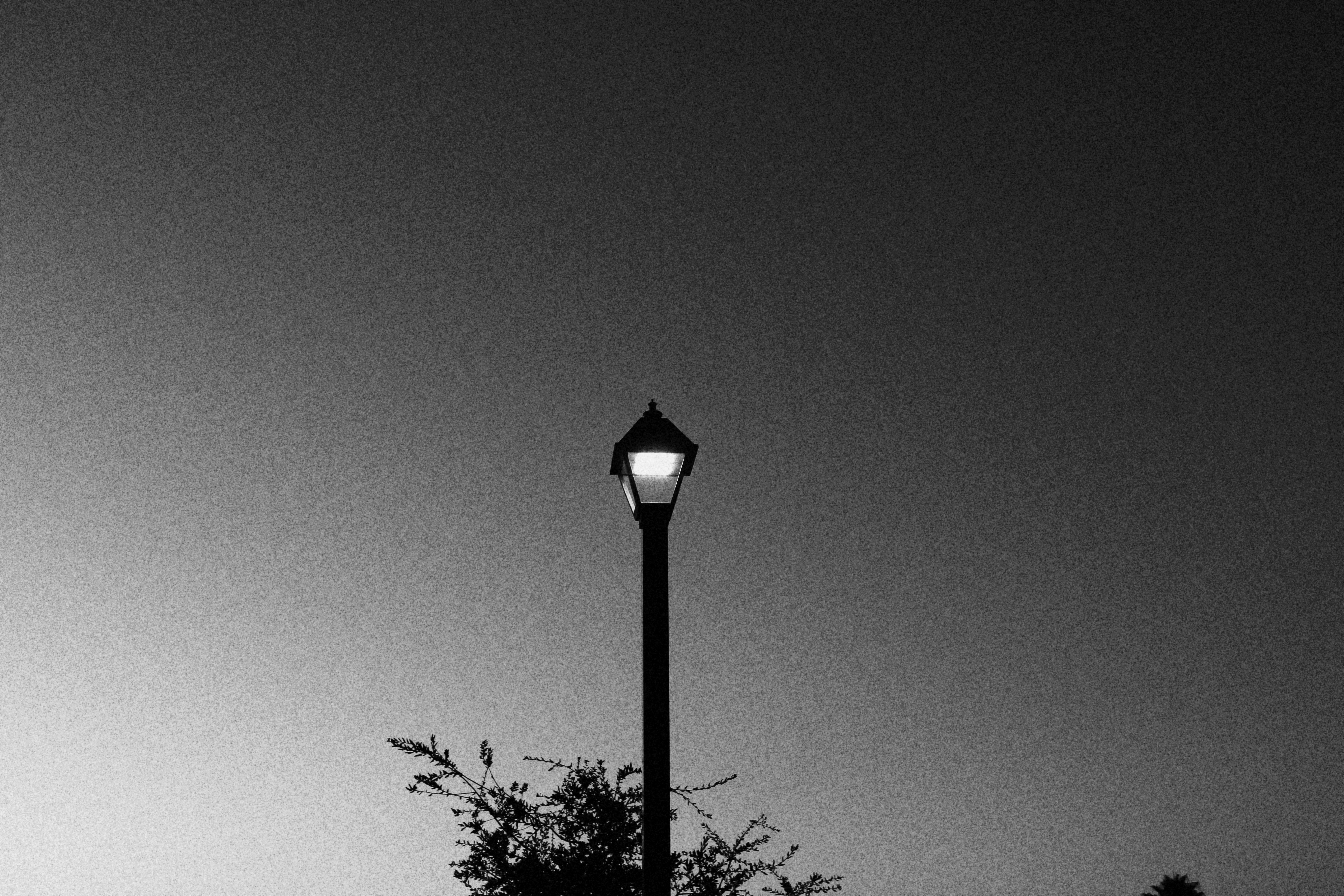 Photo by trevor_raulston