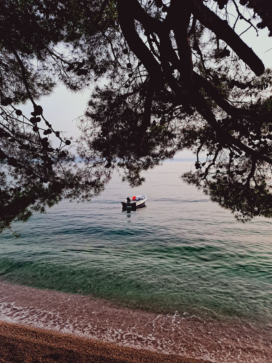 Adriatic