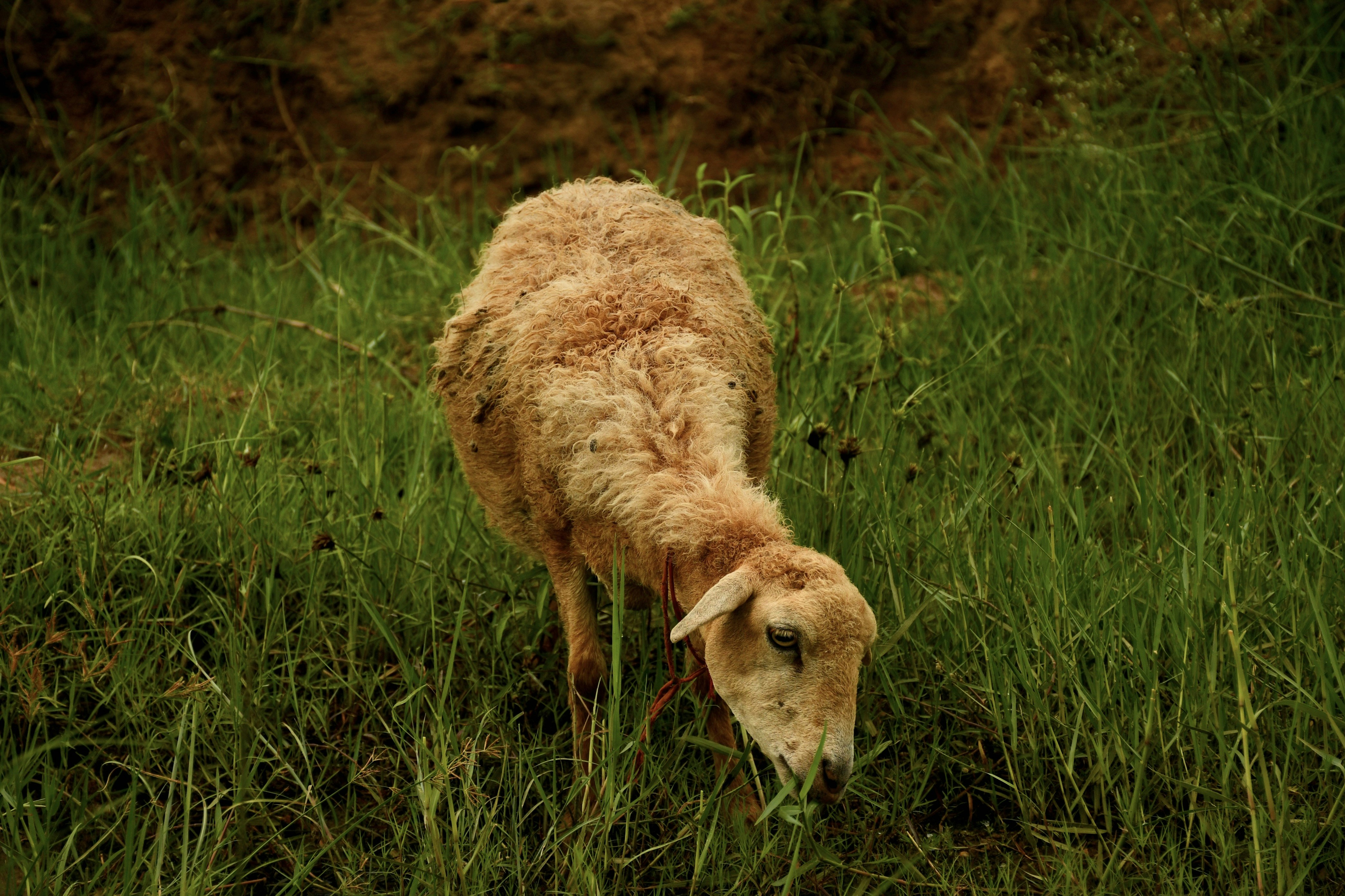 Photo by wrishi2004m