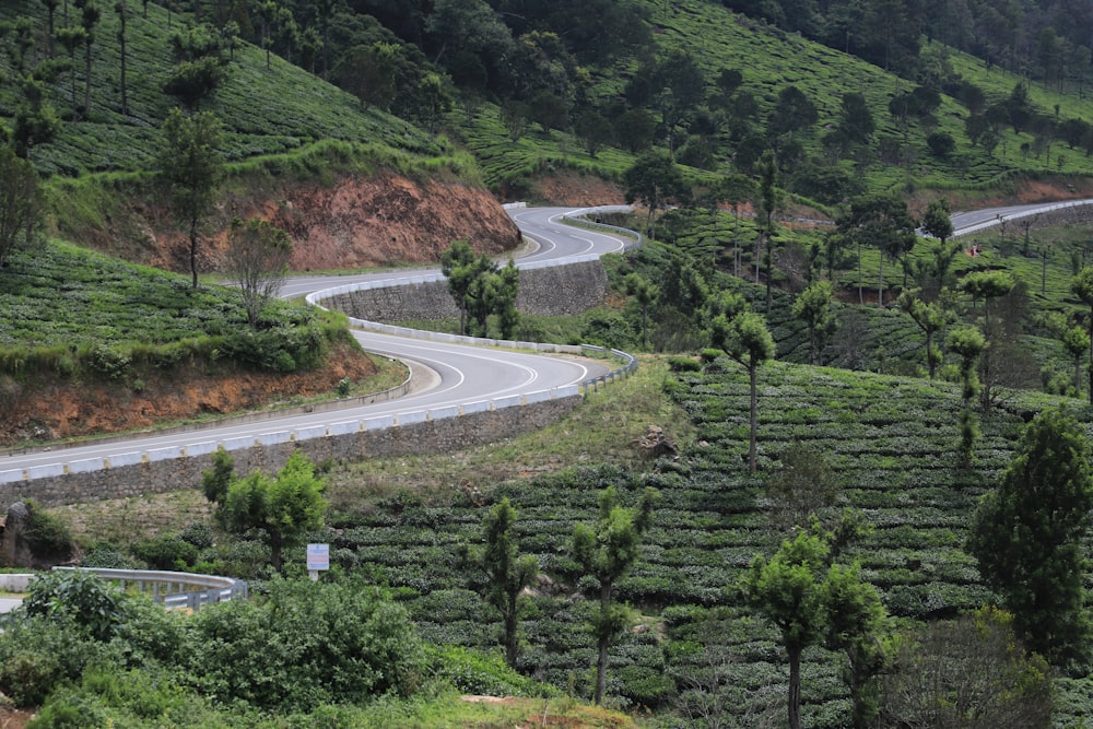 a winding road winding through a lush green hillside