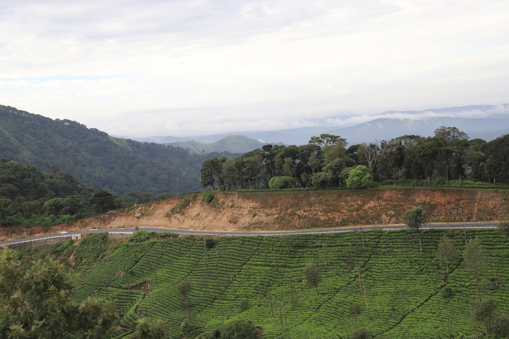 a scenic view of a lush green hillside