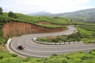 A winding road through lush green tea plantations viewed from a car window.